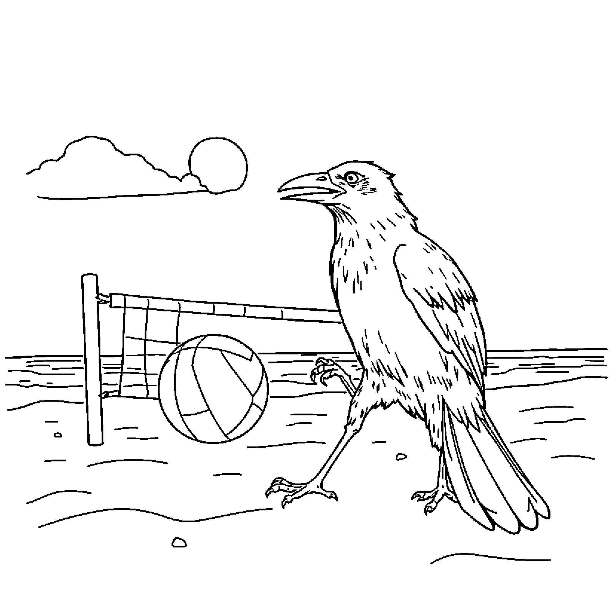 Raven perched on beach volleyball net Coloring Page (free black-and-white line drawing printable PDF for all, from beginners to advanced learners, including children, teens, adults, and seniors)