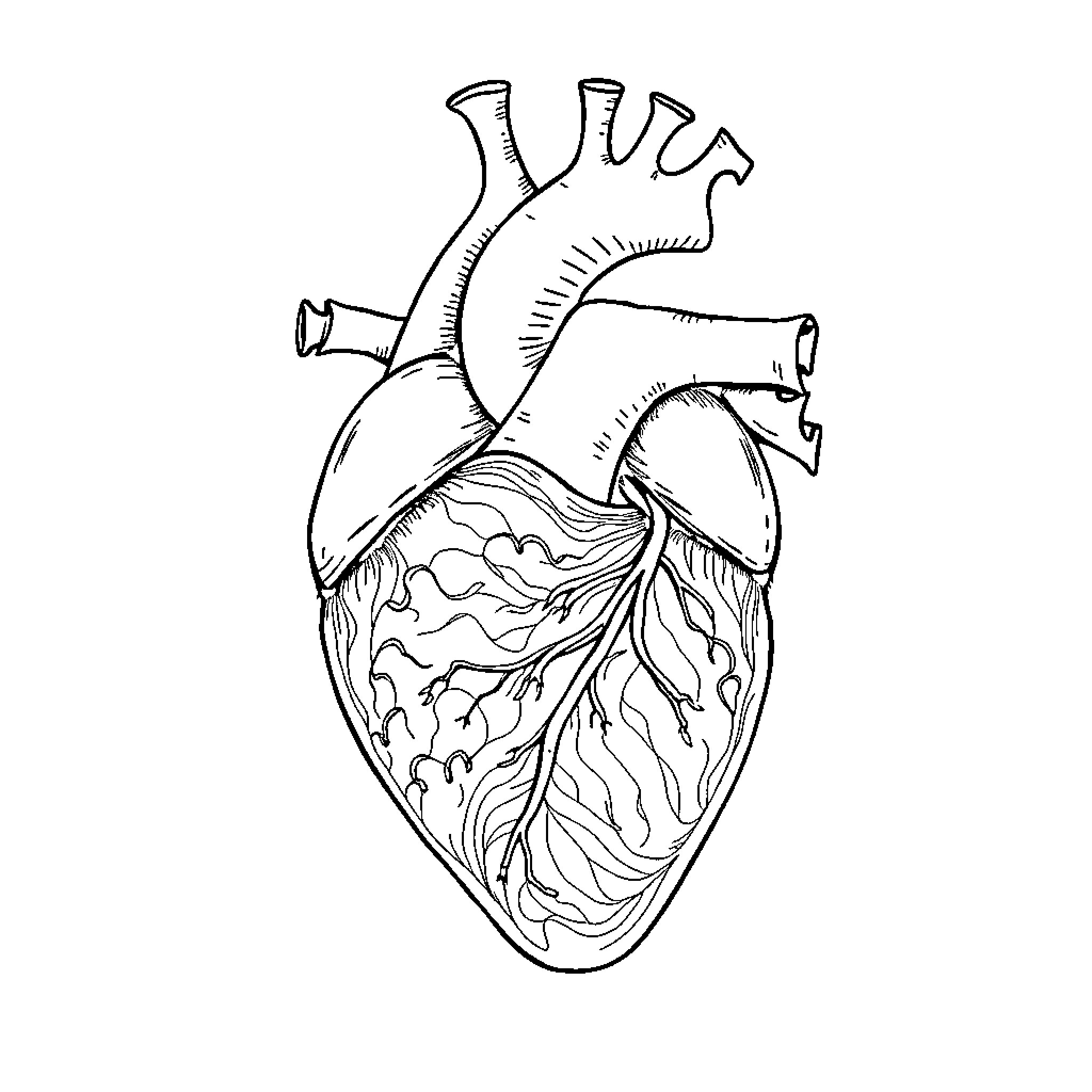 Heart of Nature's Beauty Coloring Page (free black-and-white line drawing printable PDF for all, from beginners to advanced learners, including children, teens, adults, and seniors)