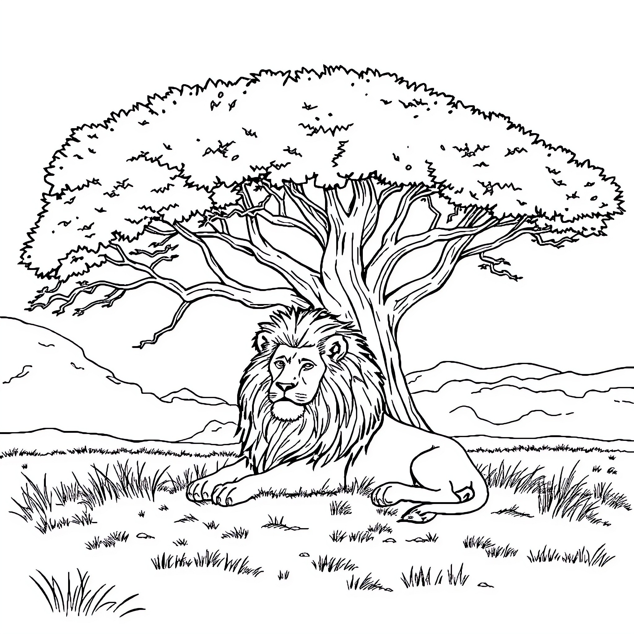 Lion resting under a majestic tree Coloring Page (free black-and-white line drawing printable PDF for all, from beginners to advanced learners, including children, teens, adults, and seniors)
