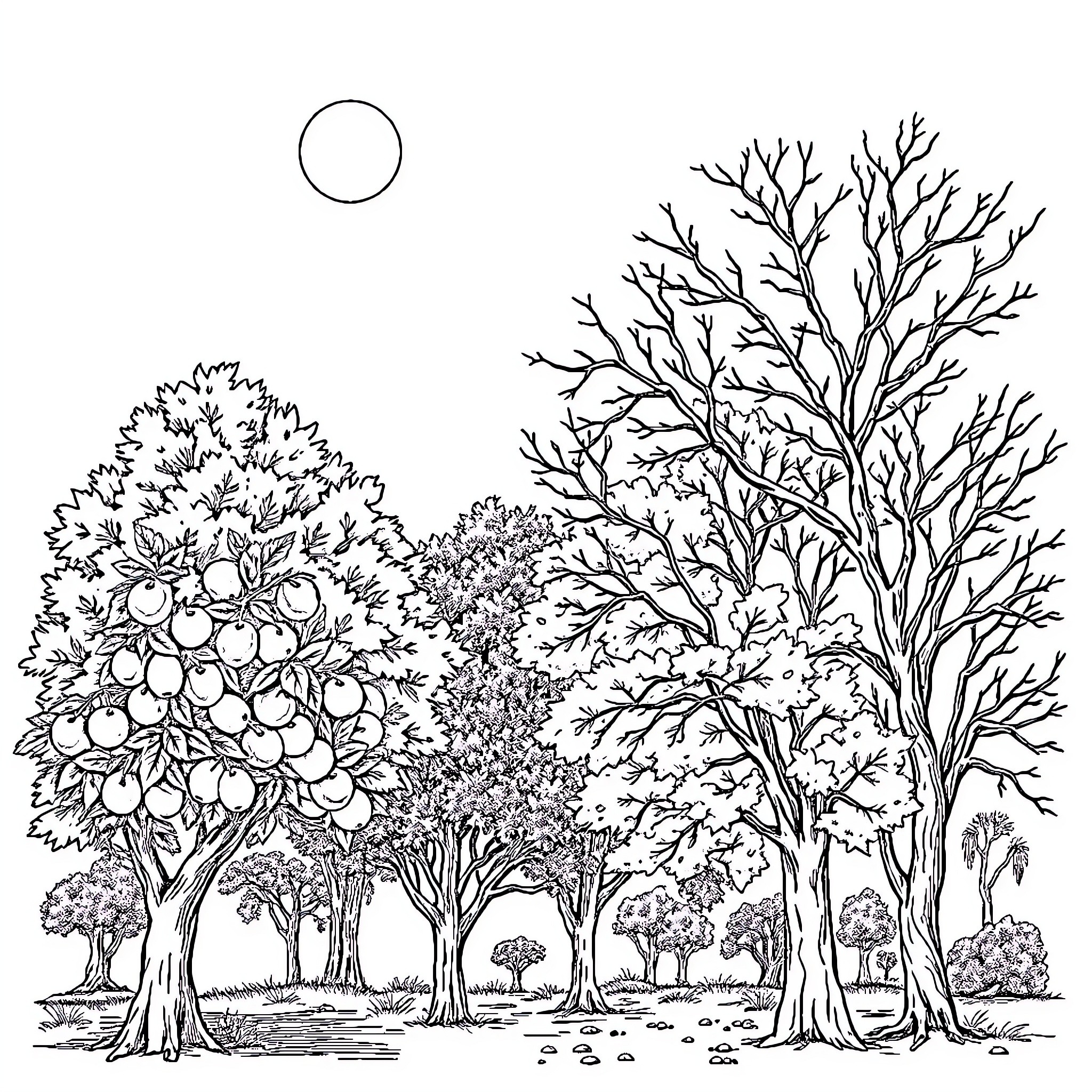Tree-filled forest scene with moon Coloring Page (free black-and-white line drawing printable PDF for all, from beginners to advanced learners, including children, teens, adults, and seniors)