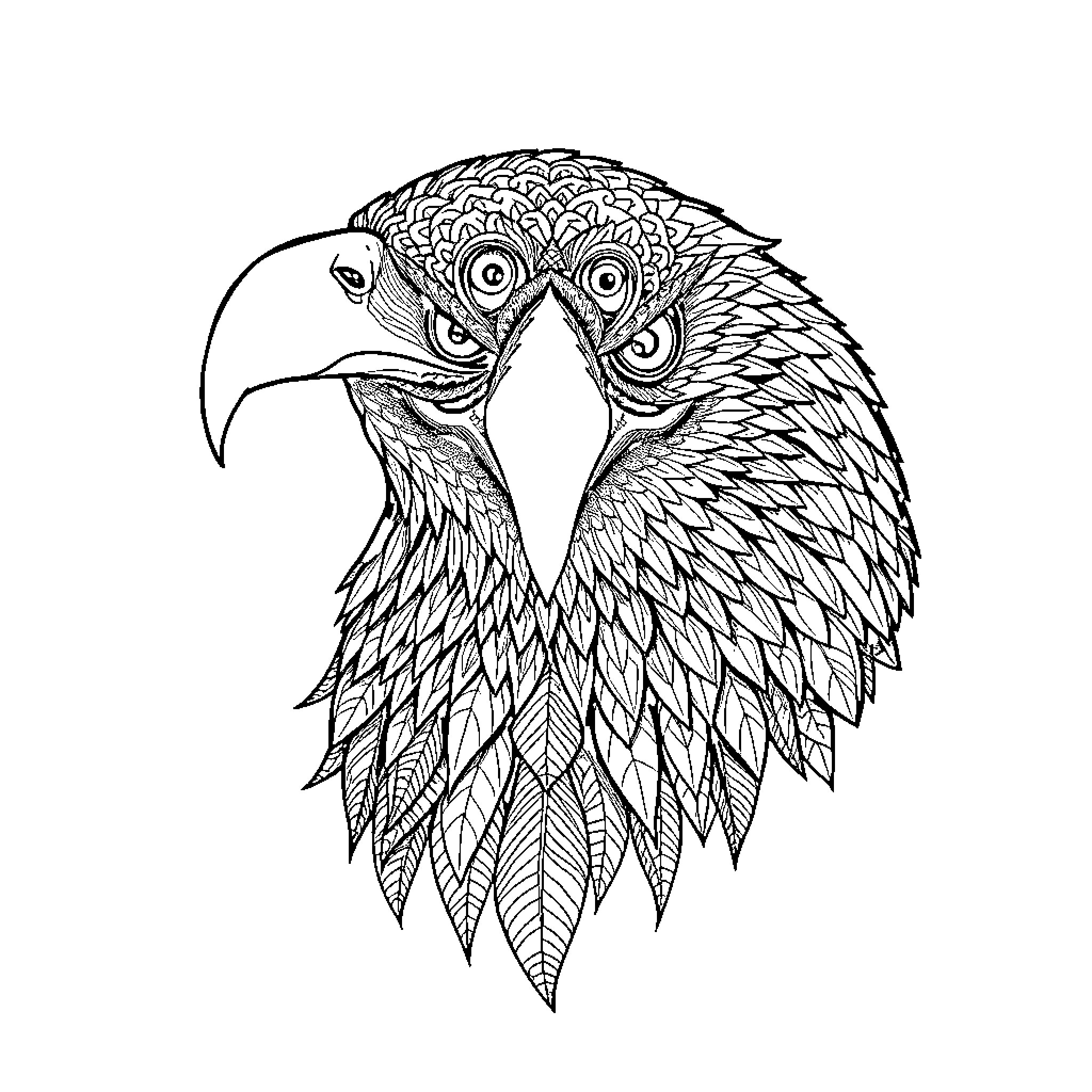 Eagle duo in intricate feathered display Coloring Page (free black-and-white line drawing printable PDF for all, from beginners to advanced learners, including children, teens, adults, and seniors)