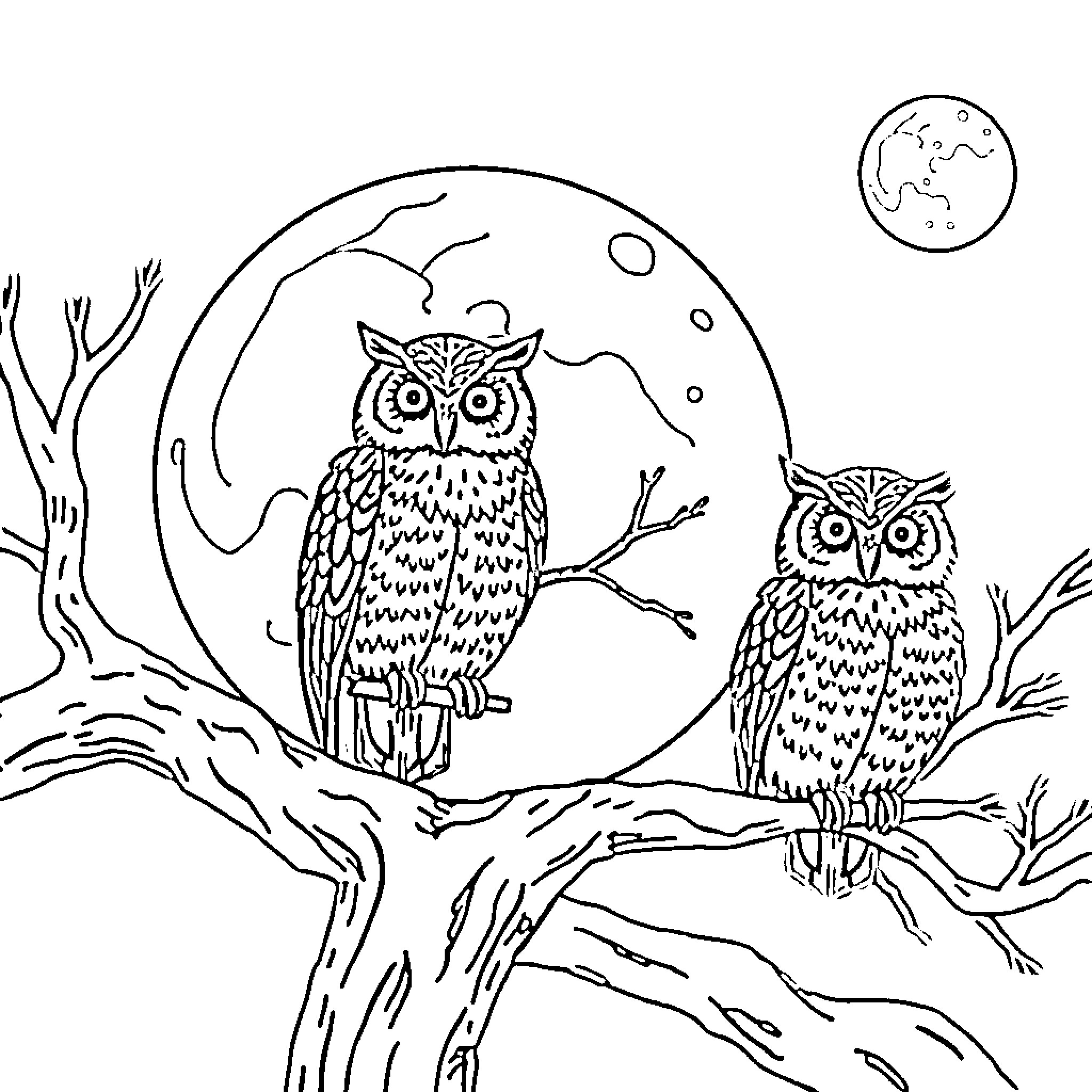 Owl pair perched on branches under moonlight Coloring Page (free black-and-white line drawing printable PDF for all, from beginners to advanced learners, including children, teens, adults, and seniors)