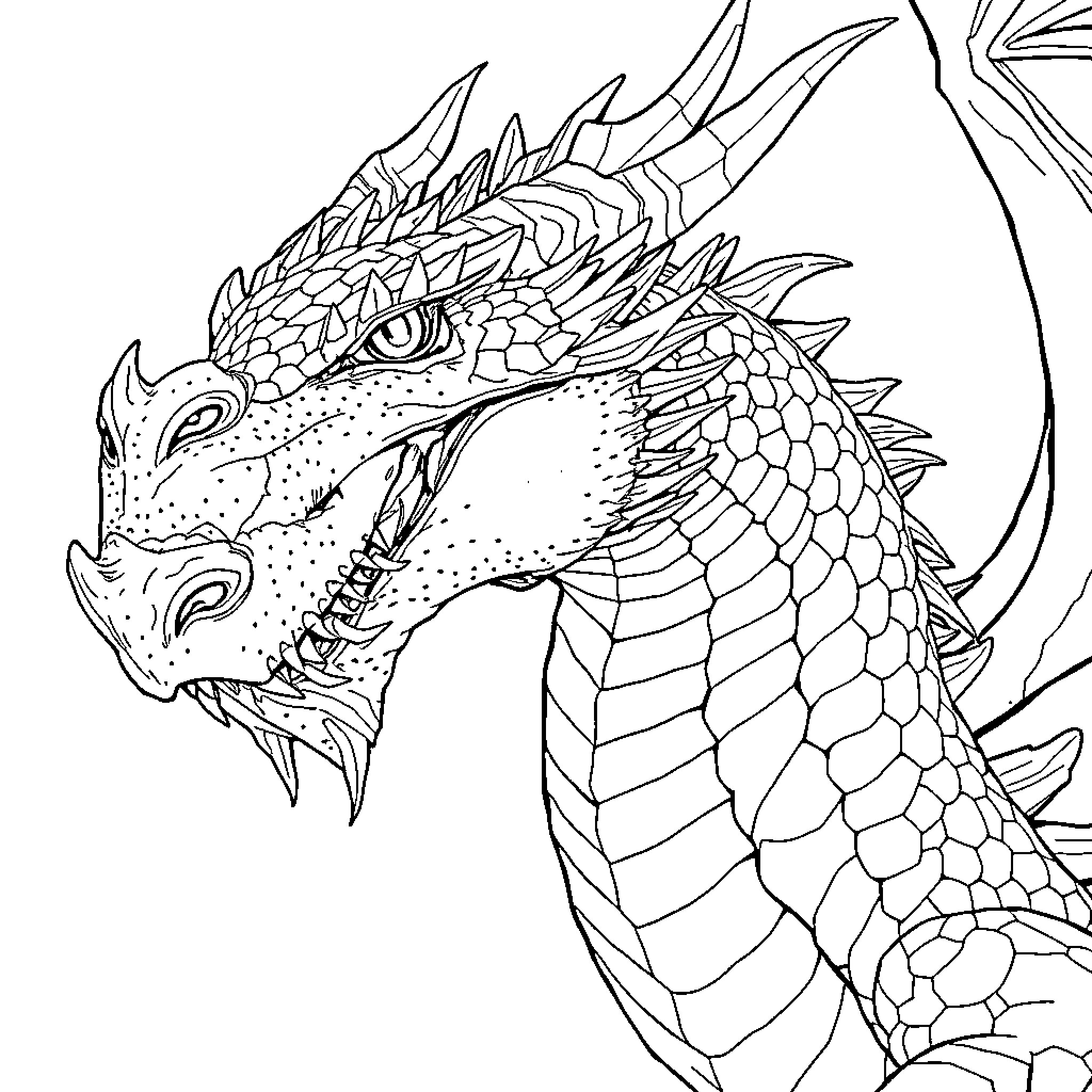 Dragon showing fierce expression with detailed scales Coloring Page (free black-and-white line drawing printable PDF for all, from beginners to advanced learners, including children, teens, adults, and seniors)
