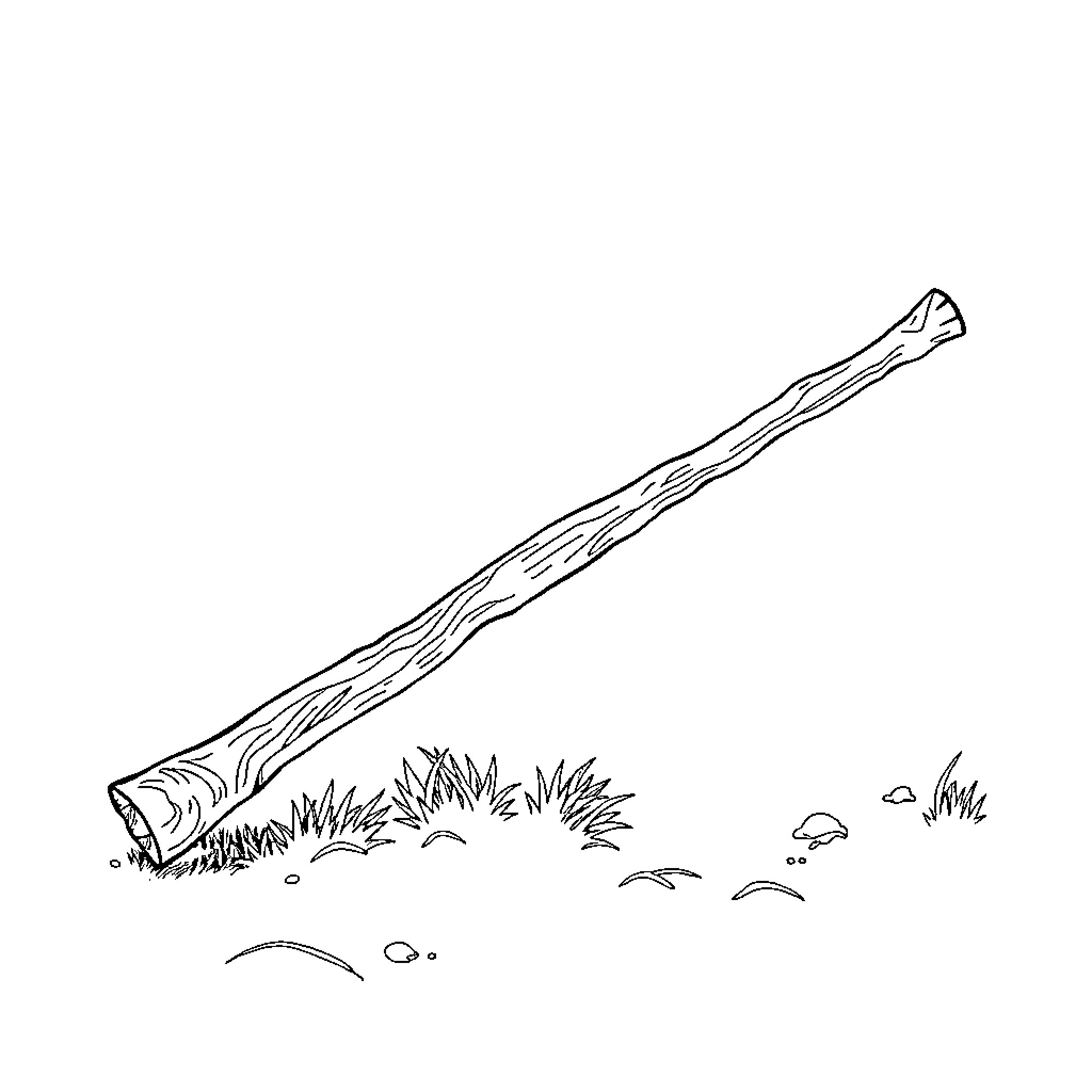 Stick on the ground with grass and rocks Coloring Page (free black-and-white line drawing printable PDF for all, from beginners to advanced learners, including children, teens, adults, and seniors)