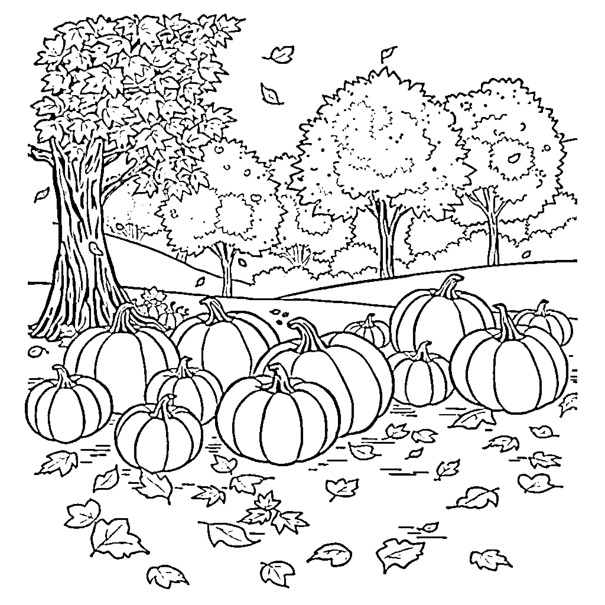 Pumpkin Patch in Autumn Landscape Coloring Page (free black-and-white line drawing printable PDF for all, from beginners to advanced learners, including children, teens, adults, and seniors)