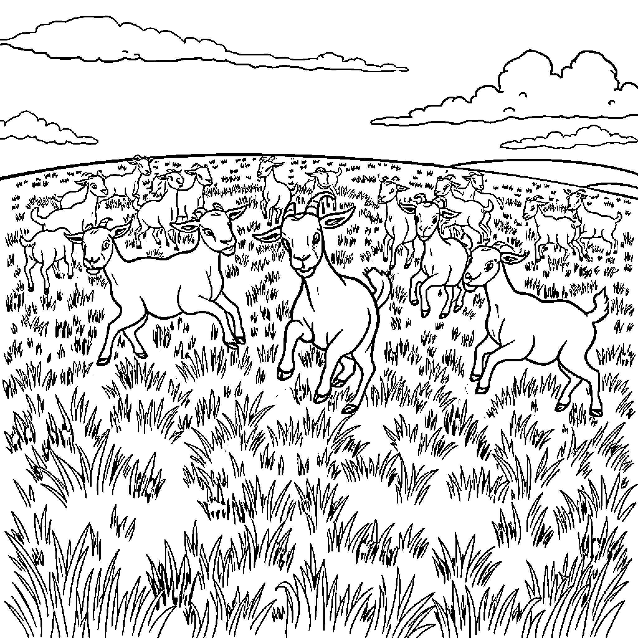 Goats running freely in the meadow Coloring Page (free black-and-white line drawing printable PDF for all, from beginners to advanced learners, including children, teens, adults, and seniors)