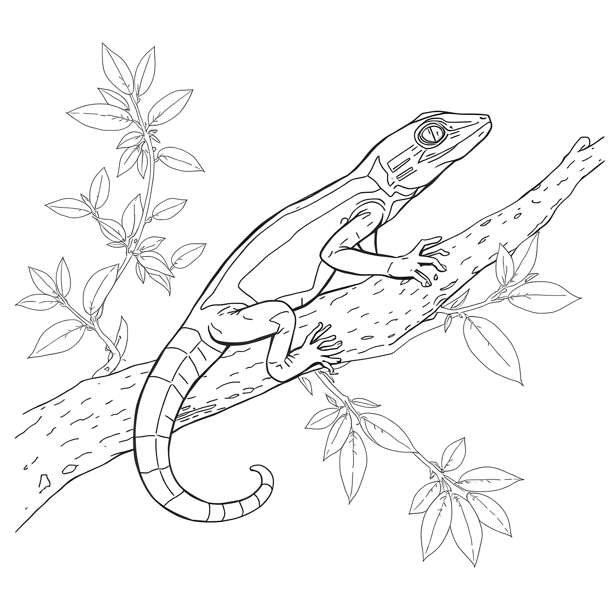 Emerald Tree Skink climbing on a branch Coloring Page (free black-and-white line drawing printable PDF for all, from beginners to advanced learners, including children, teens, adults, and seniors)