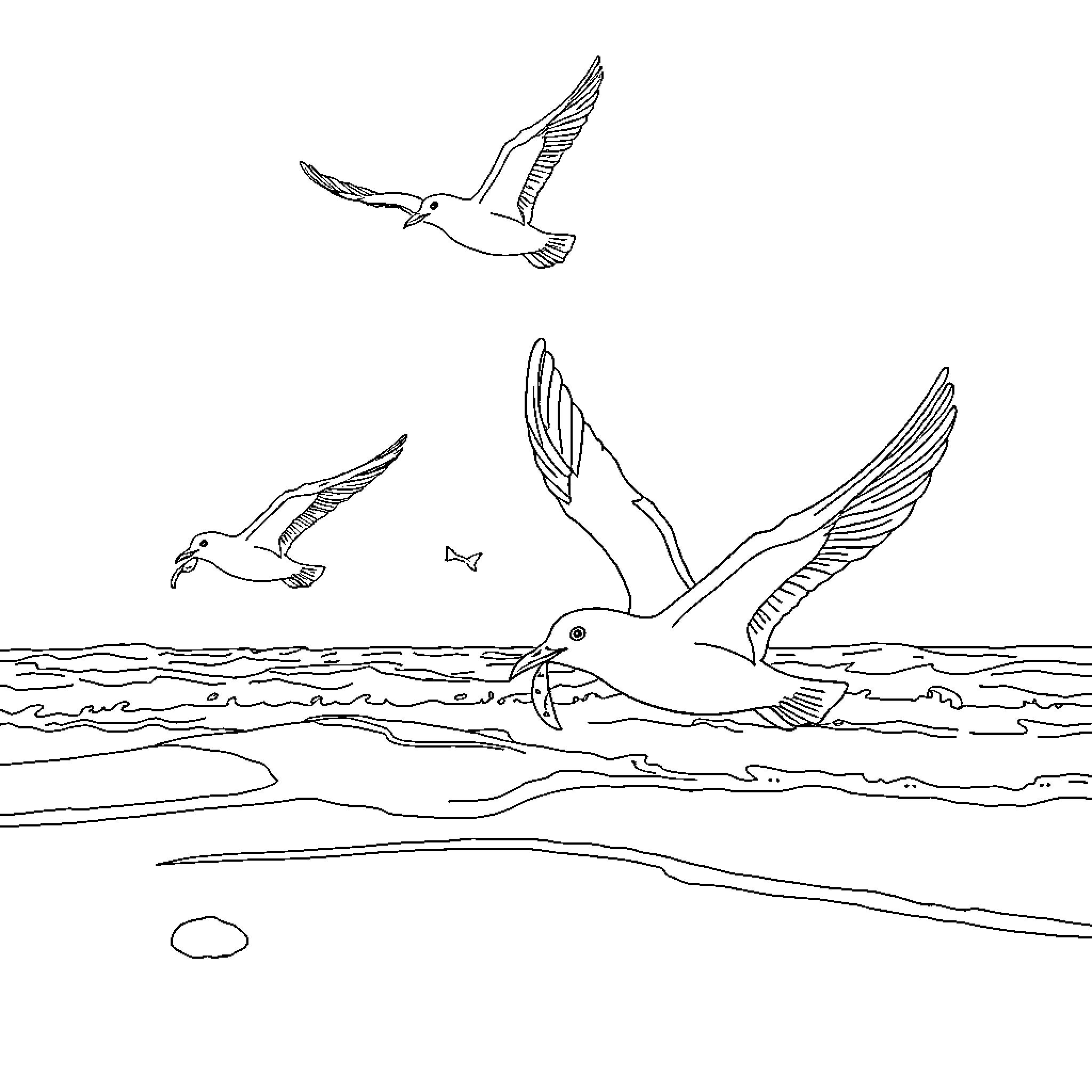 Seagulls soaring gracefully over the ocean Coloring Page (free black-and-white line drawing printable PDF for all, from beginners to advanced learners, including children, teens, adults, and seniors)