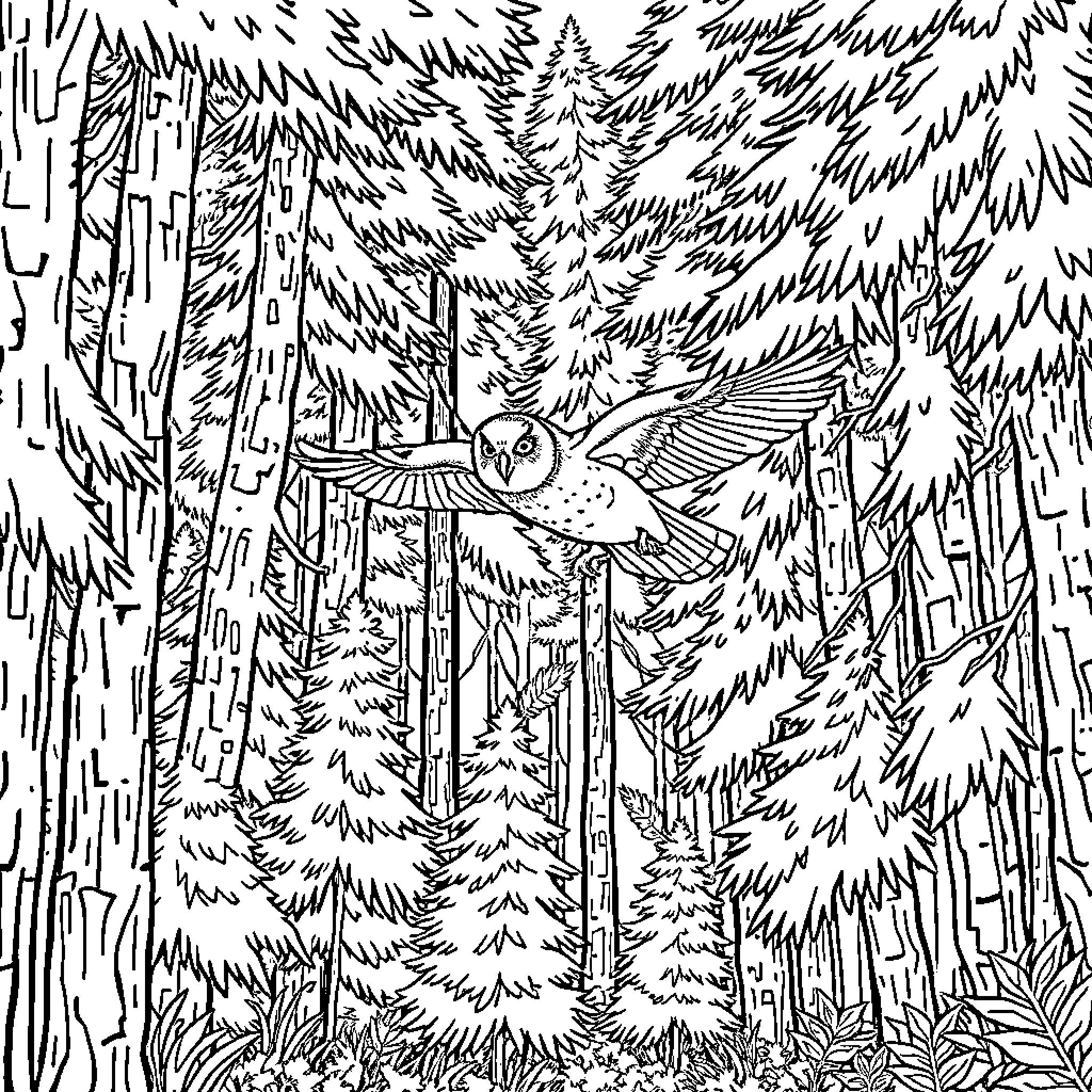 Owl soaring through the enchanted forest Coloring Page (free black-and-white line drawing printable PDF for all, from beginners to advanced learners, including children, teens, adults, and seniors)