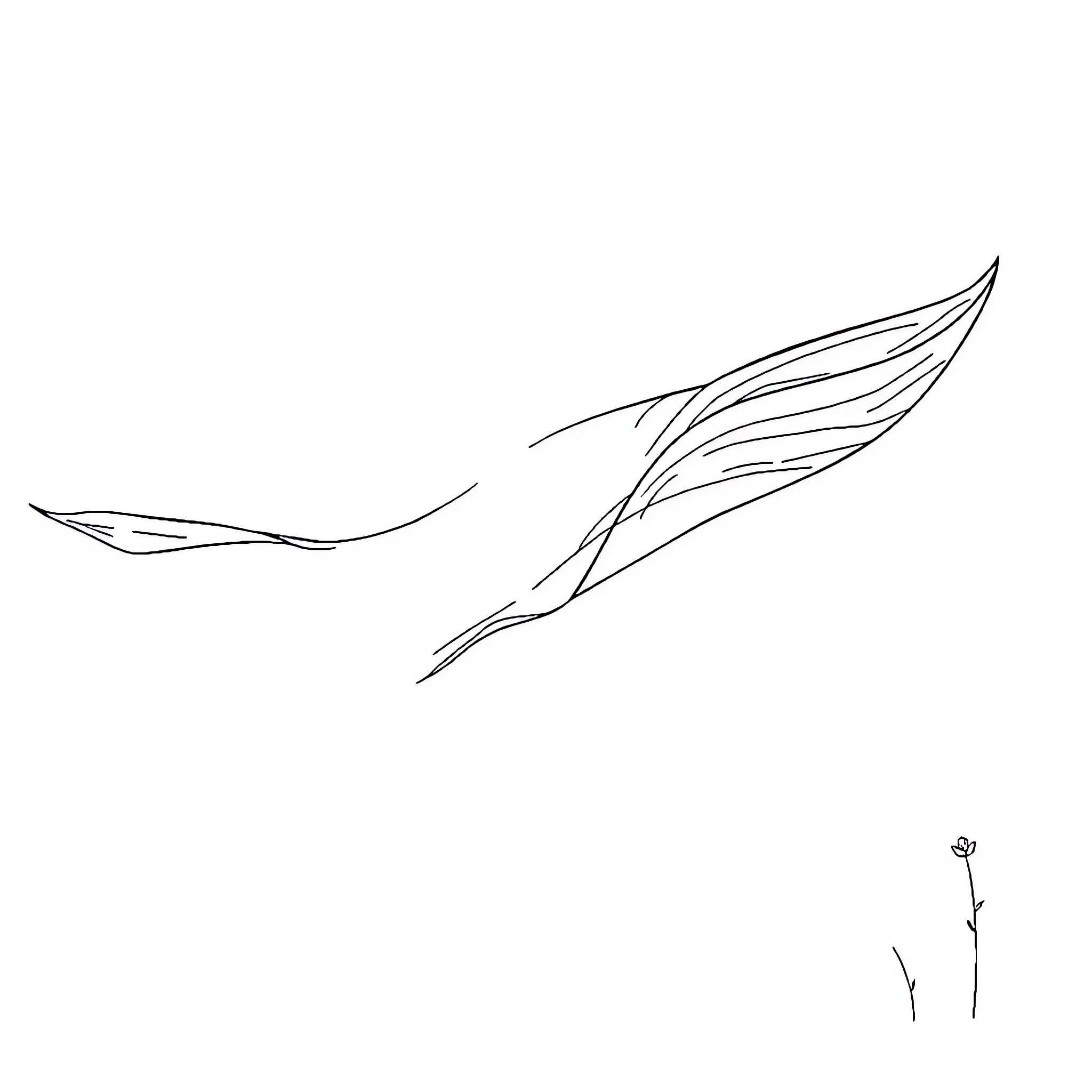 Breeze flowing gracefully through abstract forms Coloring Page (free black-and-white line drawing printable PDF for all, from beginners to advanced learners, including children, teens, adults, and seniors)