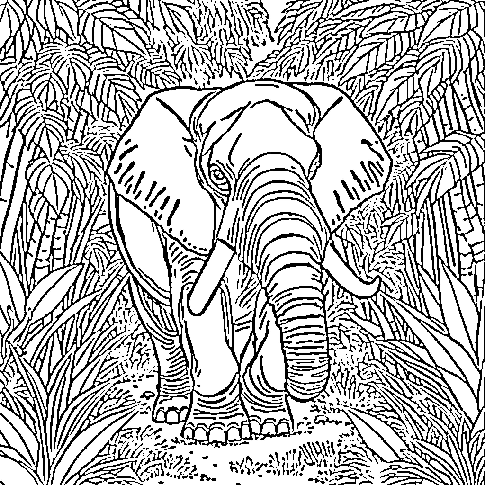 Elephant exploring the lush jungle landscape Coloring Page (free black-and-white line drawing printable PDF for all, from beginners to advanced learners, including children, teens, adults, and seniors)