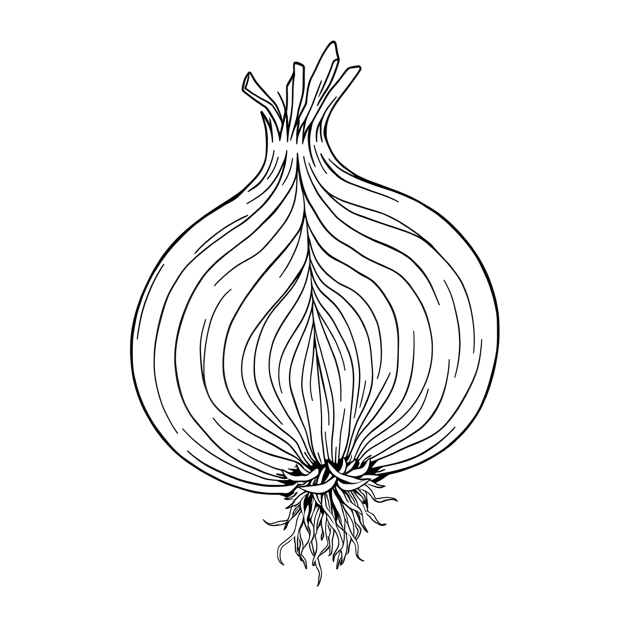Onion with intricate organic patterns Coloring Page (free black-and-white line drawing printable PDF for all, from beginners to advanced learners, including children, teens, adults, and seniors)