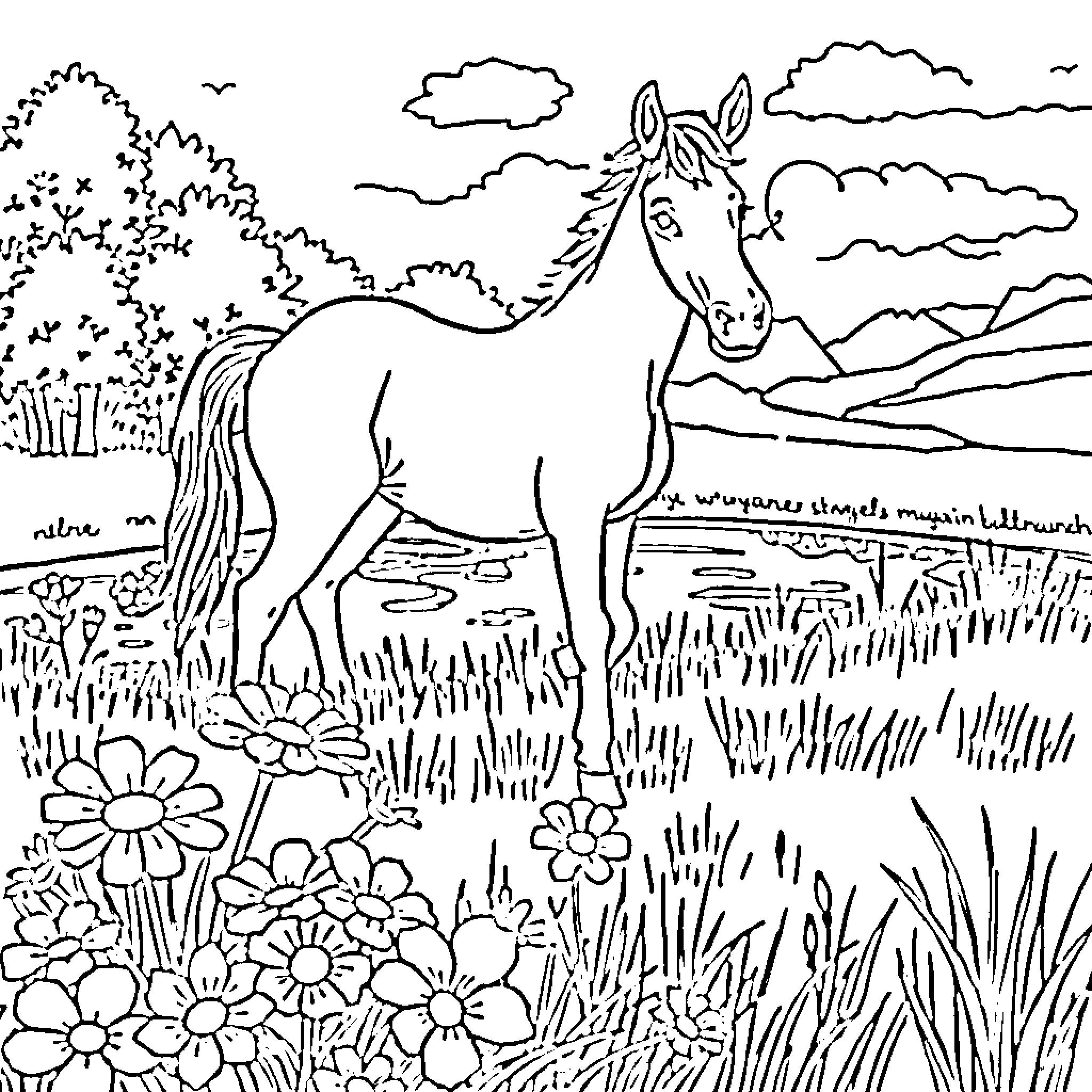 Horse grazing peacefully in a scenic meadow Coloring Page (free black-and-white line drawing printable PDF for all, from beginners to advanced learners, including children, teens, adults, and seniors)
