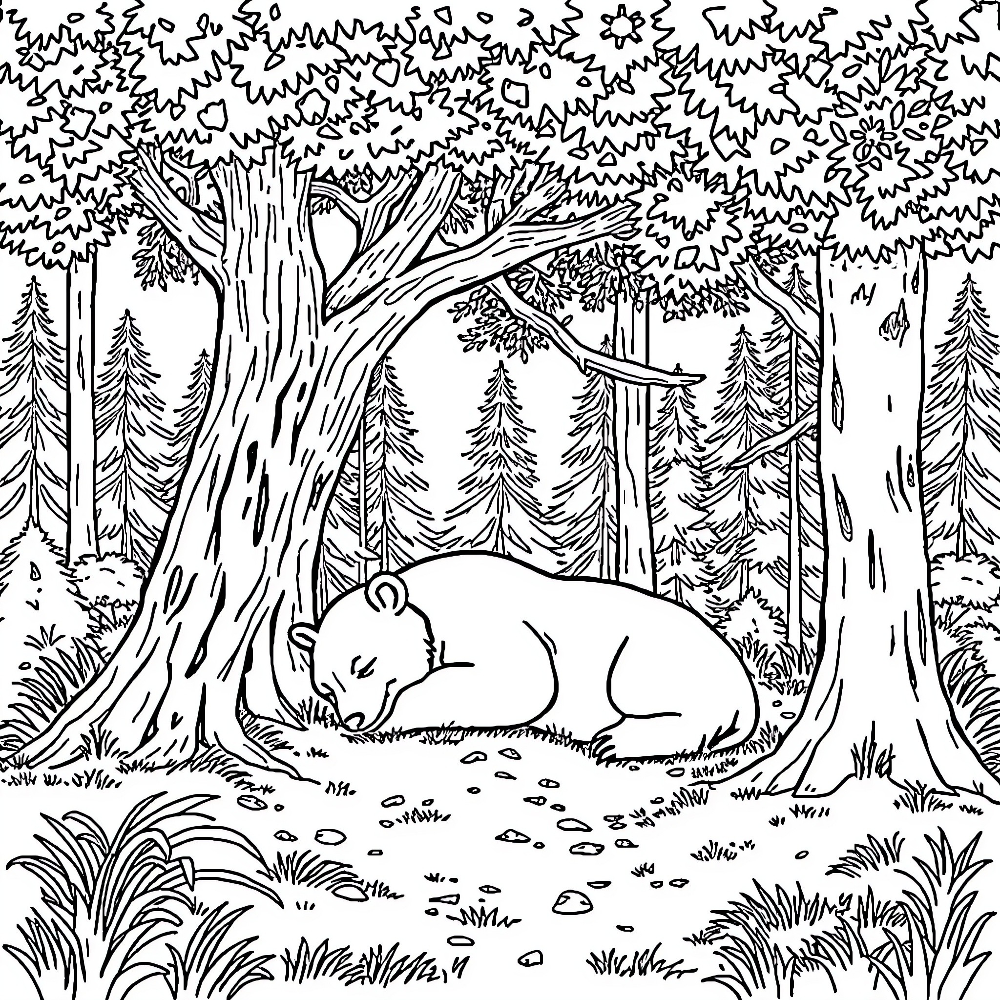 Bear sleeping peacefully in the forest Coloring Page (free black-and-white line drawing printable PDF for all, from beginners to advanced learners, including children, teens, adults, and seniors)