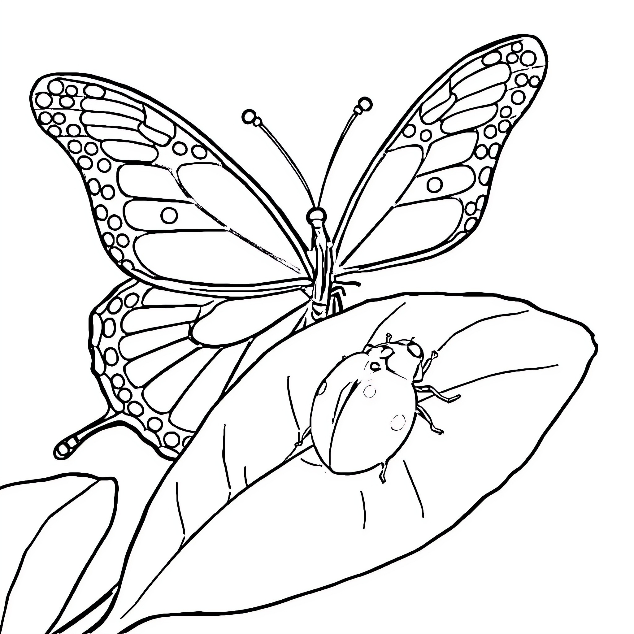 Butterfly resting on leaf Coloring Page (free black-and-white line drawing printable PDF for all, from beginners to advanced learners, including children, teens, adults, and seniors)
