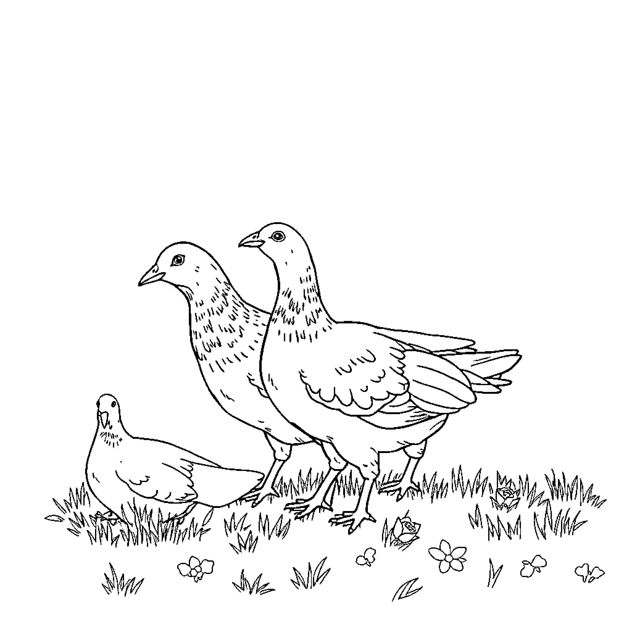 Sheep resting peacefully in a grassy meadow Coloring Page (free black-and-white line drawing printable PDF for all, from beginners to advanced learners, including children, teens, adults, and seniors)