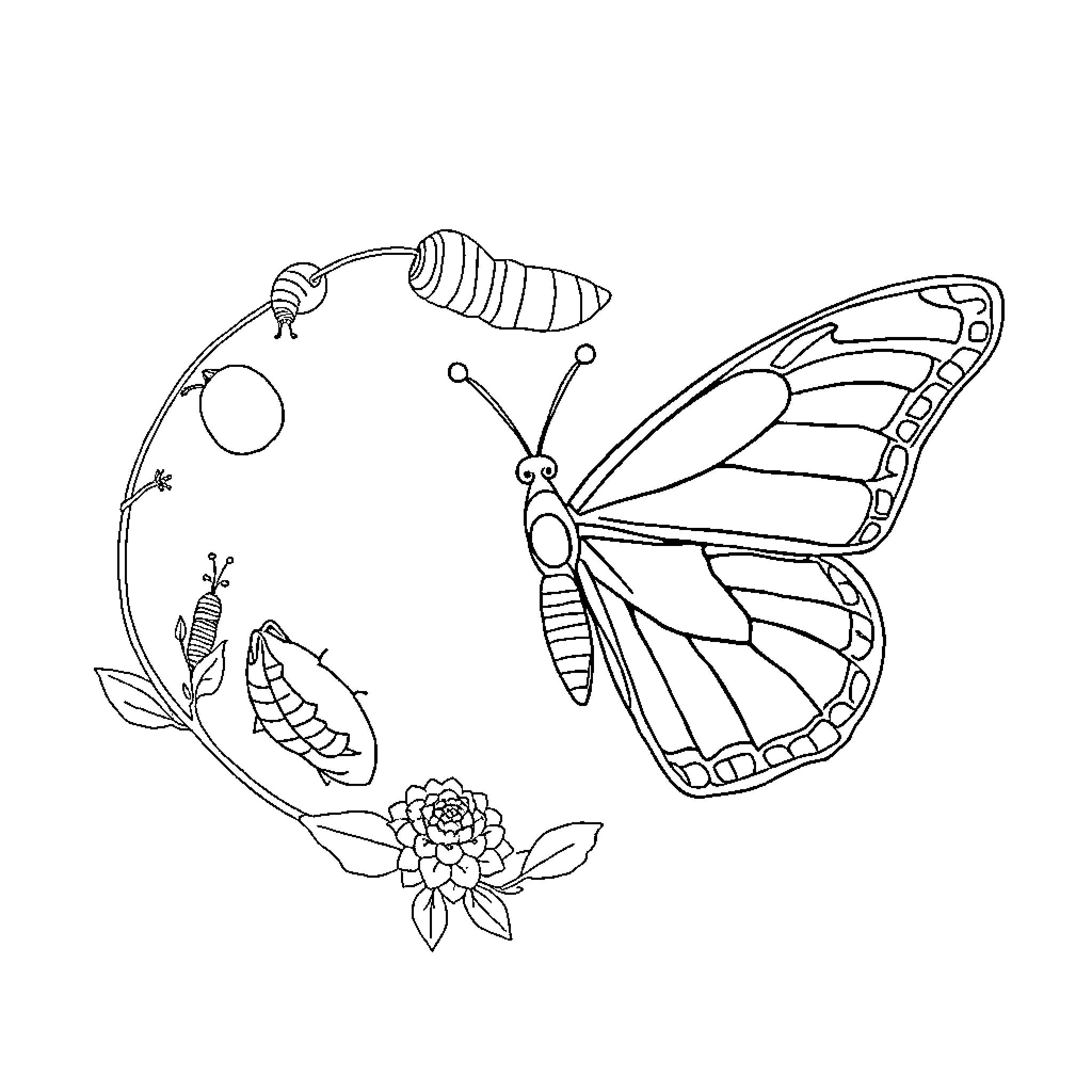 Butterfly in a Floral Illustration Coloring Page (free black-and-white line drawing printable PDF for all, from beginners to advanced learners, including children, teens, adults, and seniors)