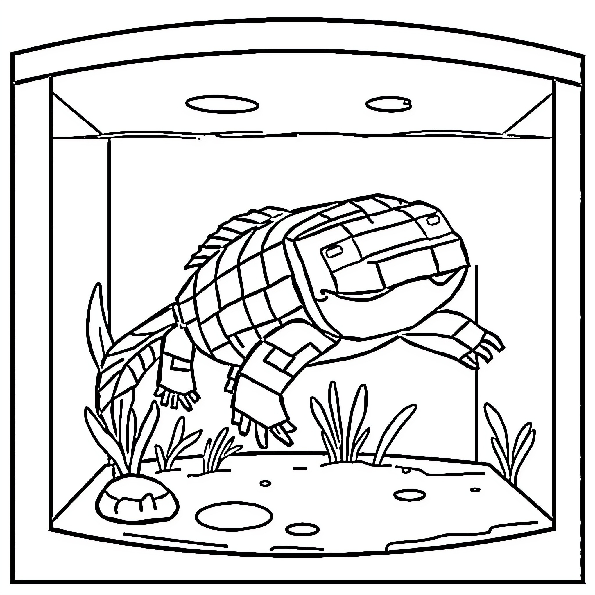 Axolotl in a Terrarium Coloring Page (free black-and-white line drawing printable PDF for all, from beginners to advanced learners, including children, teens, adults, and seniors)