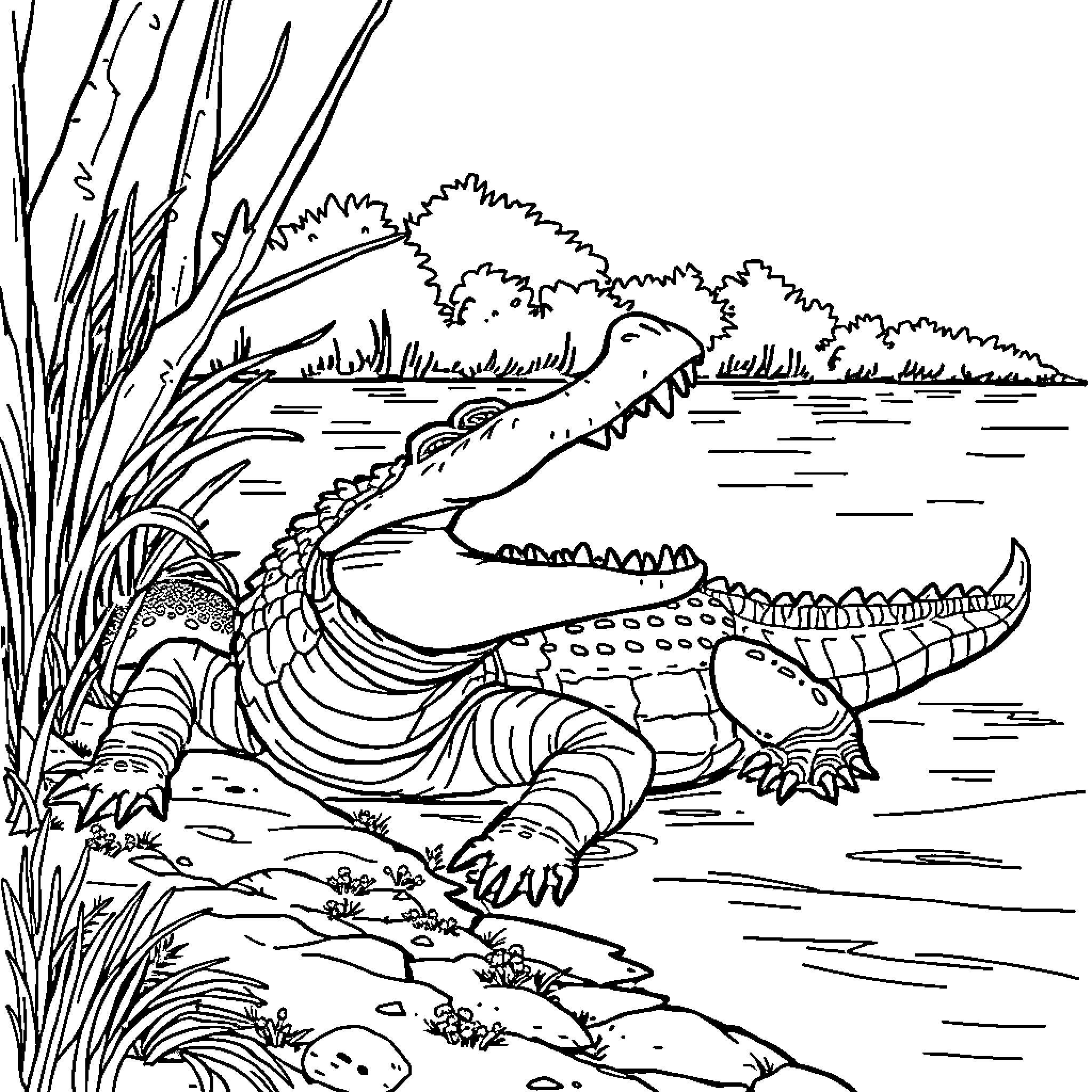 Crocodile resting peacefully in the wetland environment Coloring Page (free black-and-white line drawing printable PDF for all, from beginners to advanced learners, including children, teens, adults, and seniors)