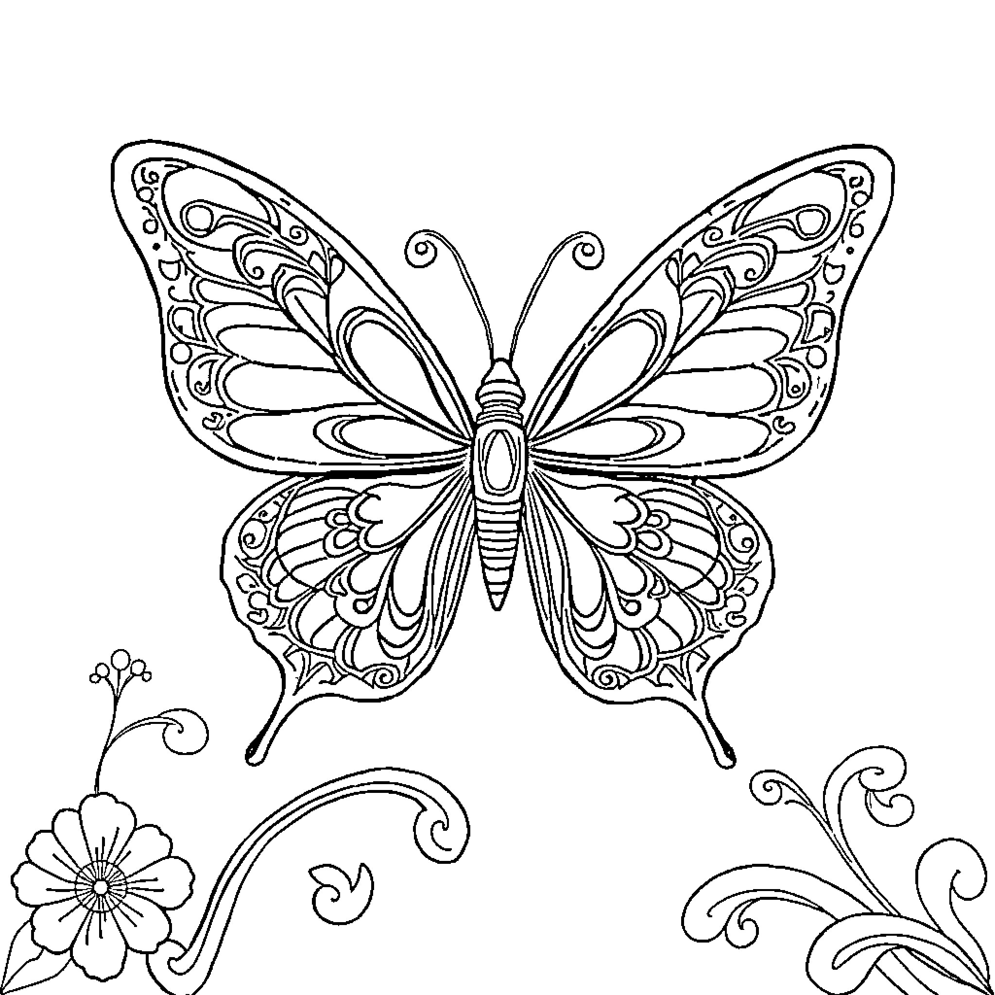 Butterfly with ornate wings and floral elements Coloring Page (free black-and-white line drawing printable PDF for all, from beginners to advanced learners, including children, teens, adults, and seniors)