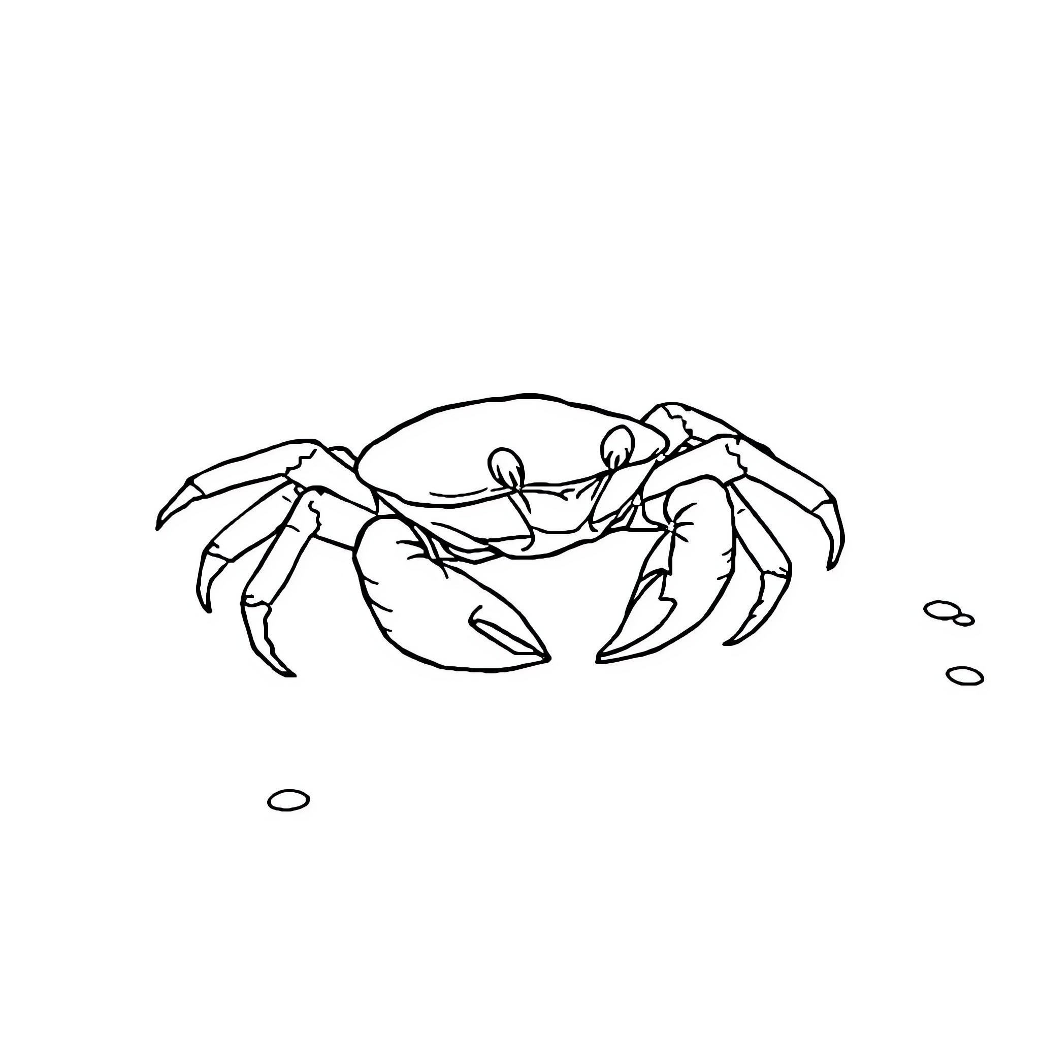 Crab resting on the seafloor Coloring Page (free black-and-white line drawing printable PDF for all, from beginners to advanced learners, including children, teens, adults, and seniors)