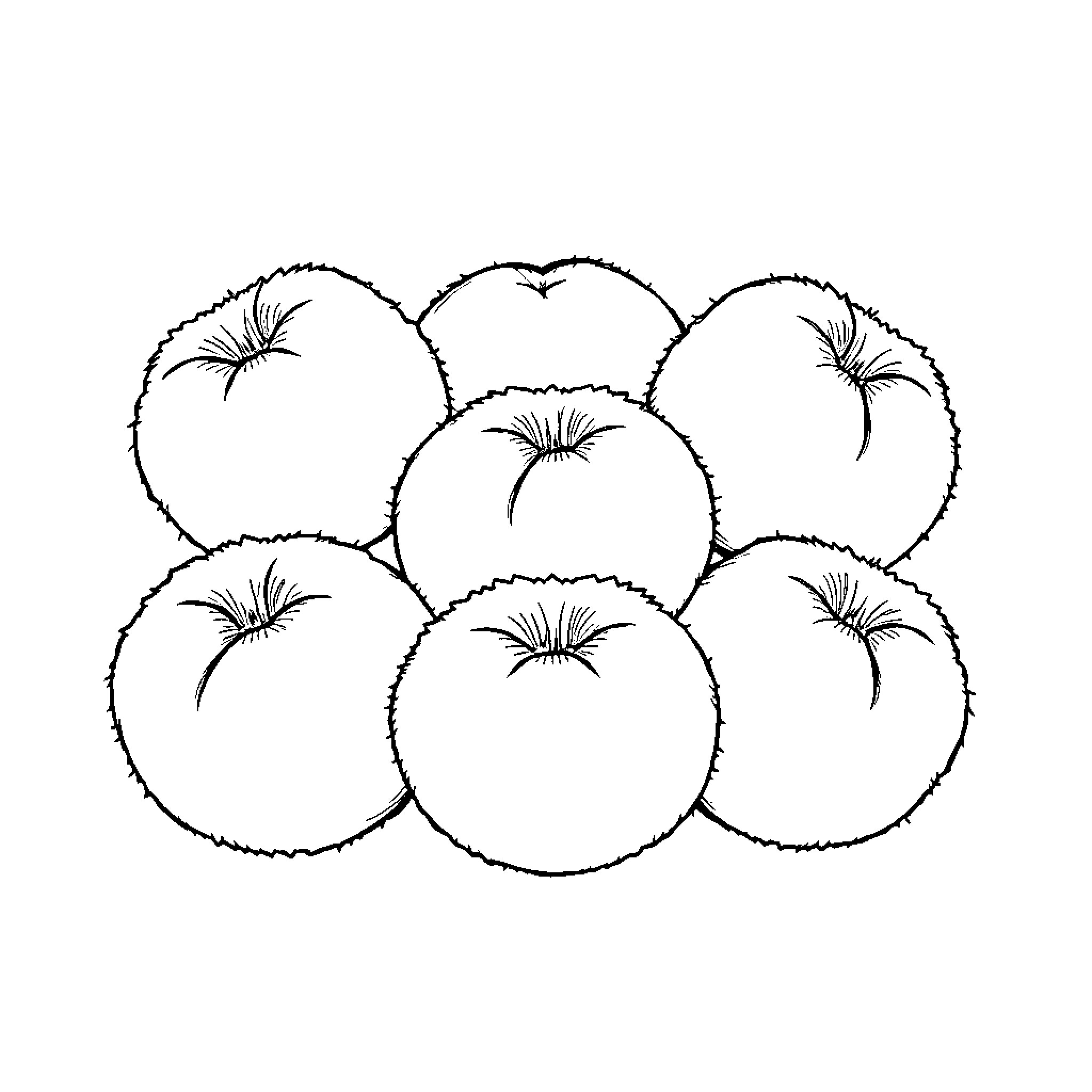 Peach Harvest Abundance Coloring Page (free black-and-white line drawing printable PDF for all, from beginners to advanced learners, including children, teens, adults, and seniors)