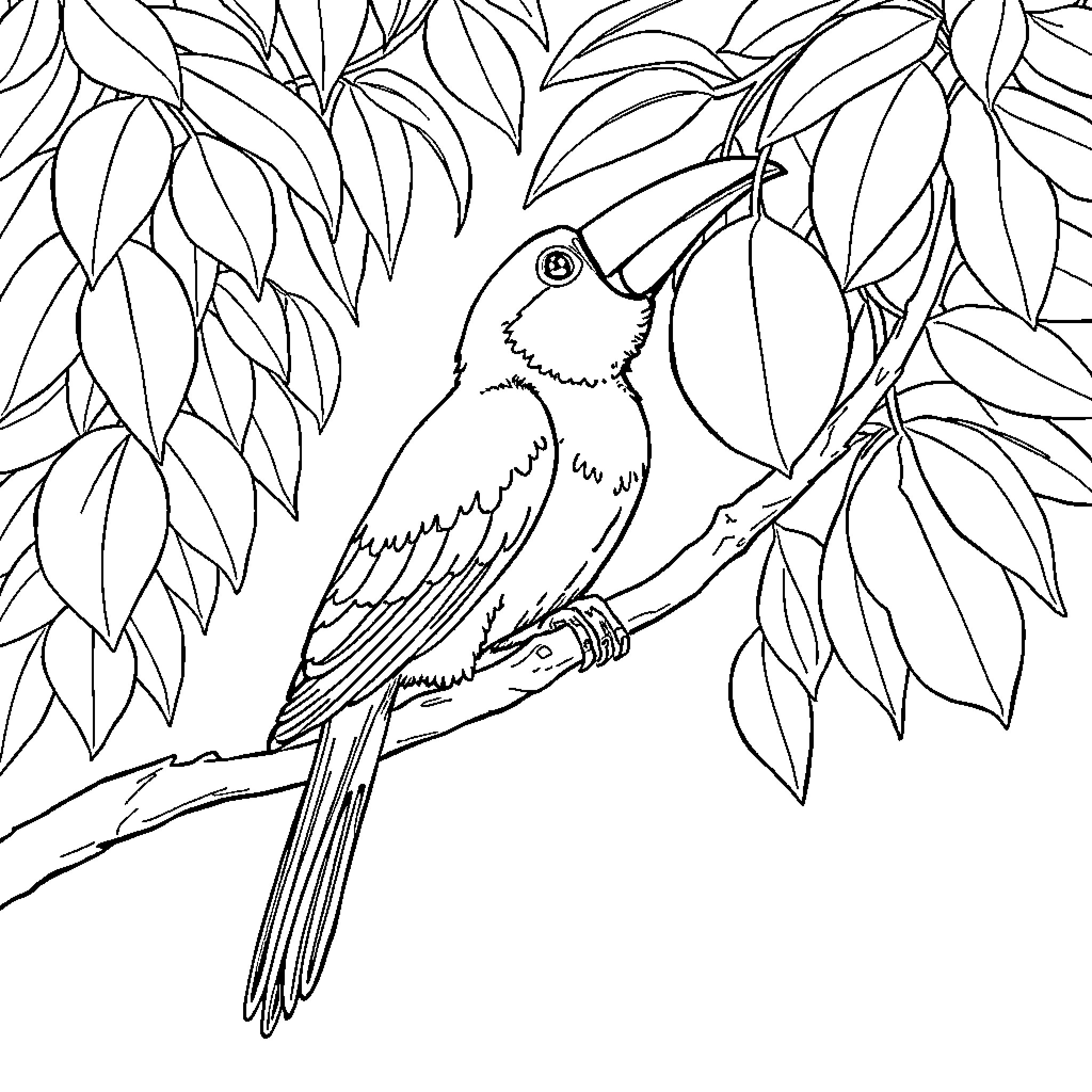 Canary perched on a leafy branch Coloring Page (free black-and-white line drawing printable PDF for all, from beginners to advanced learners, including children, teens, adults, and seniors)