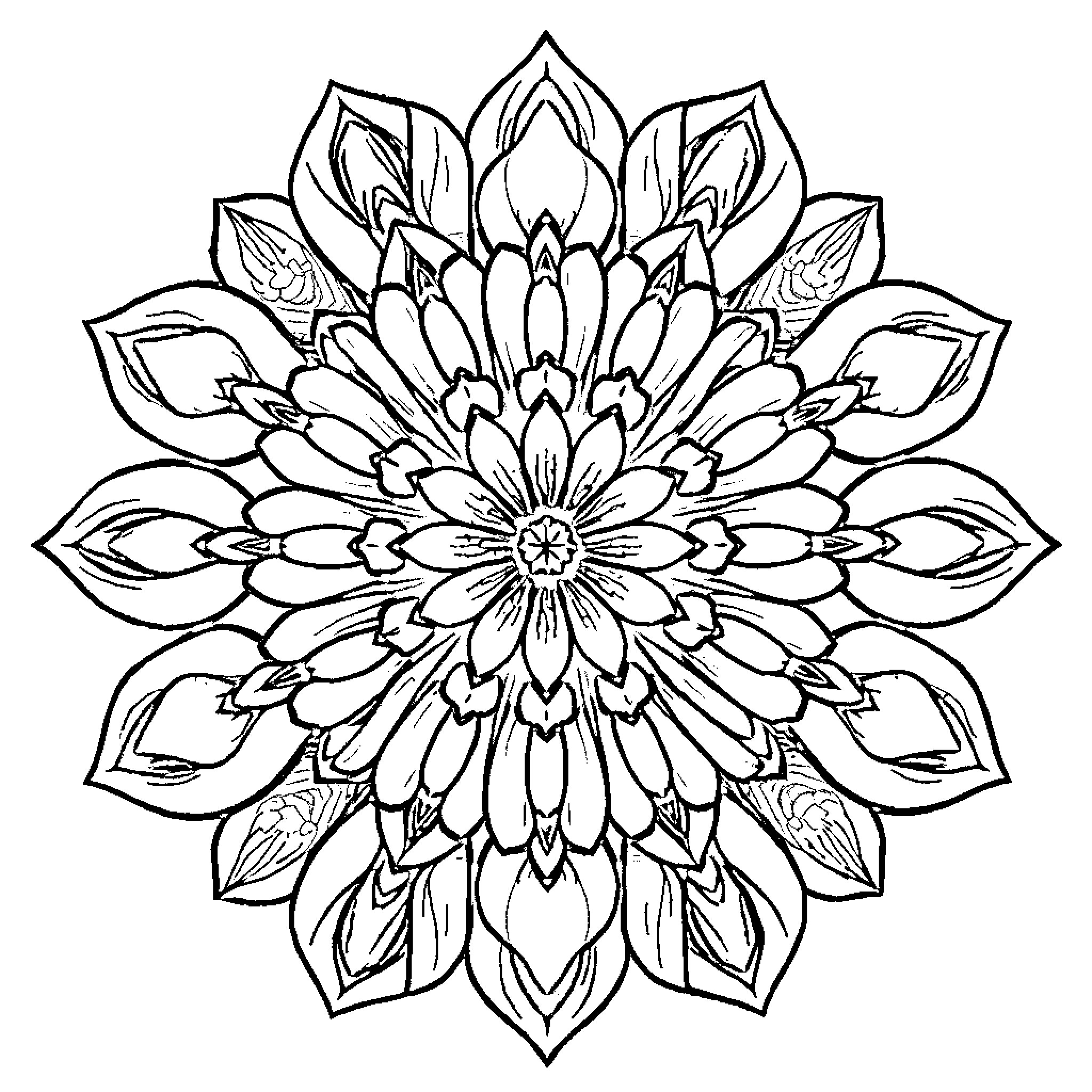 Tulip-inspired floral mandala design Coloring Page (free black-and-white line drawing printable PDF for all, from beginners to advanced learners, including children, teens, adults, and seniors)