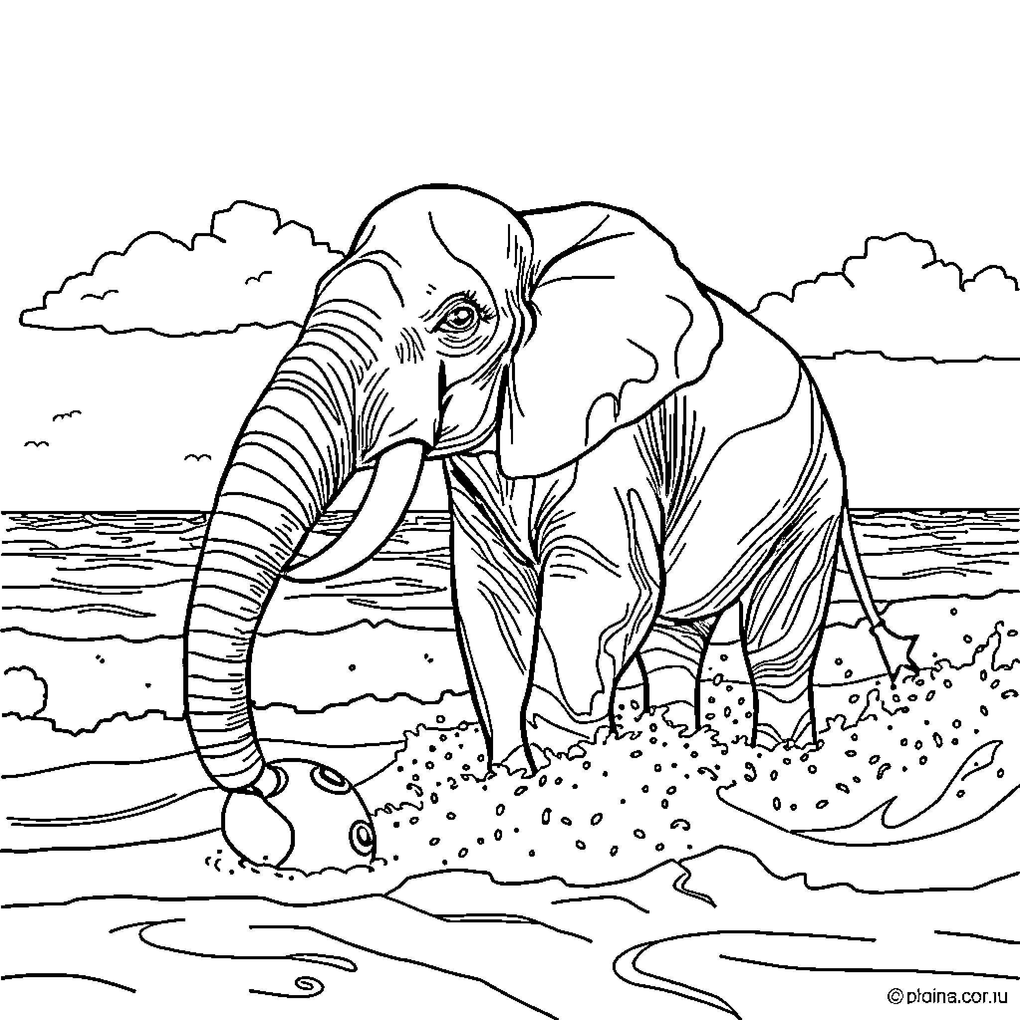 Elephant exploring a scenic landscape Coloring Page (free black-and-white line drawing printable PDF for all, from beginners to advanced learners, including children, teens, adults, and seniors)