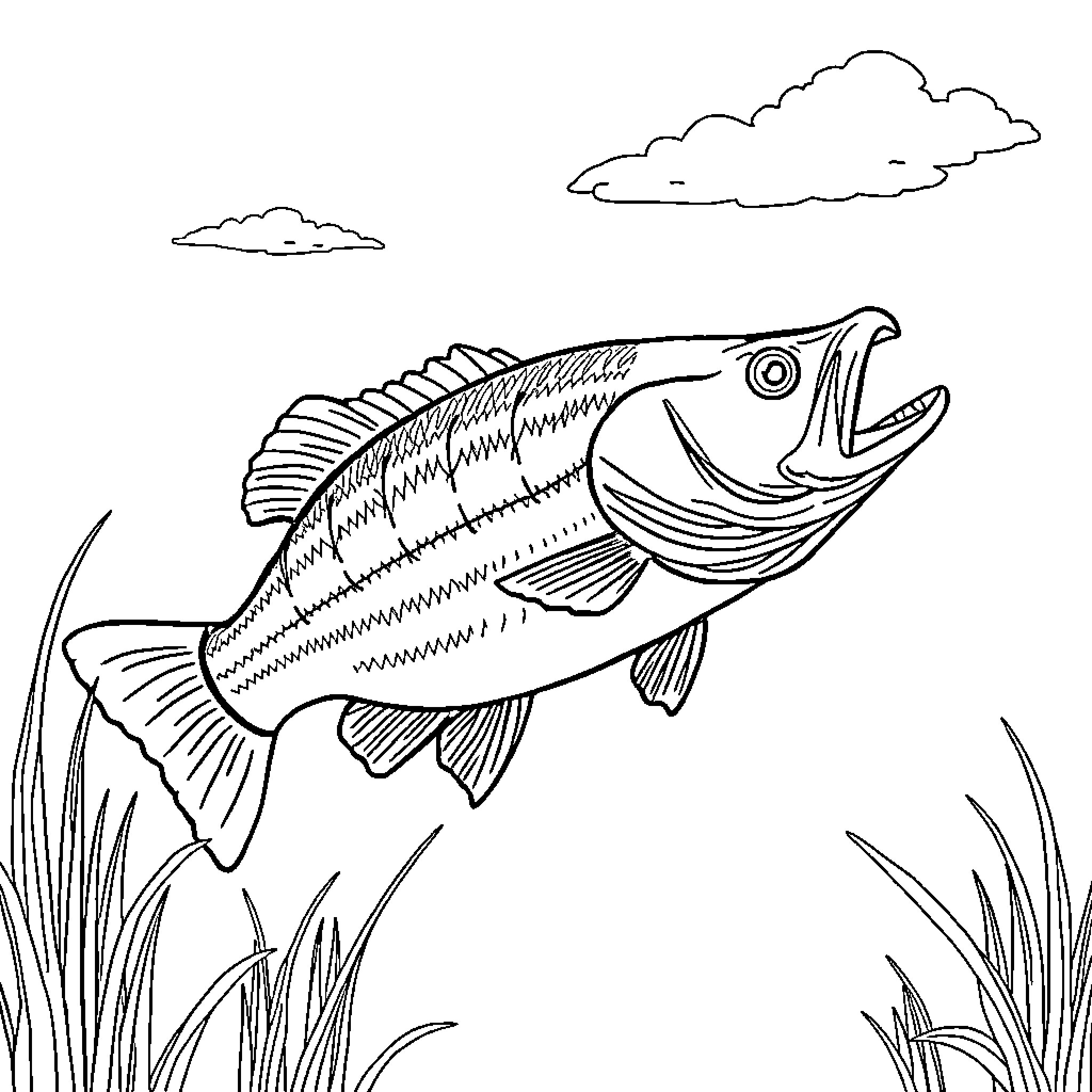 Bass fish swimming in the aquatic environment Coloring Page (free black-and-white line drawing printable PDF for all, from beginners to advanced learners, including children, teens, adults, and seniors)