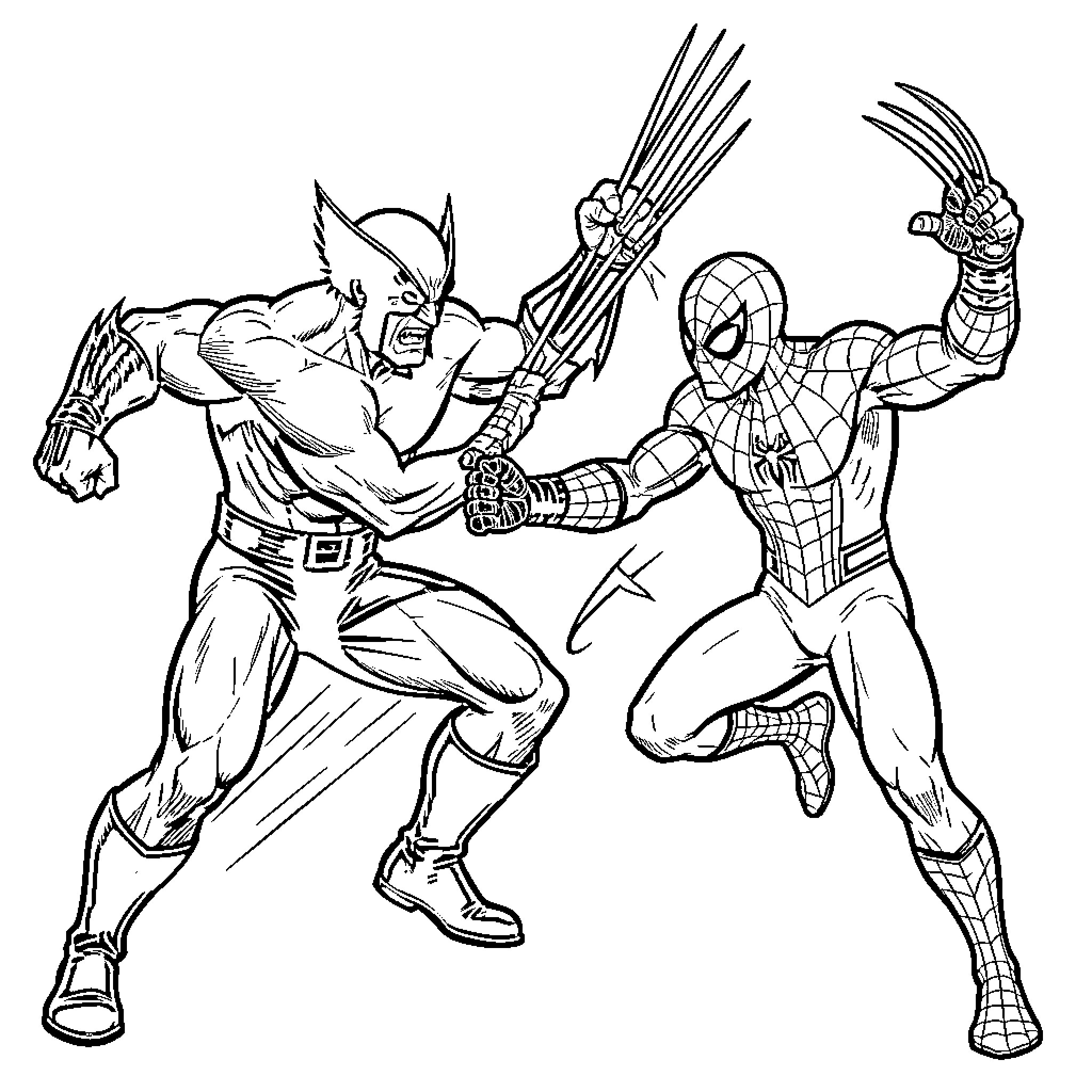 Wolverine fighting Spider-Man in an intense battle scene Coloring Page (free black-and-white line drawing printable PDF for all, from beginners to advanced learners, including children, teens, adults, and seniors)