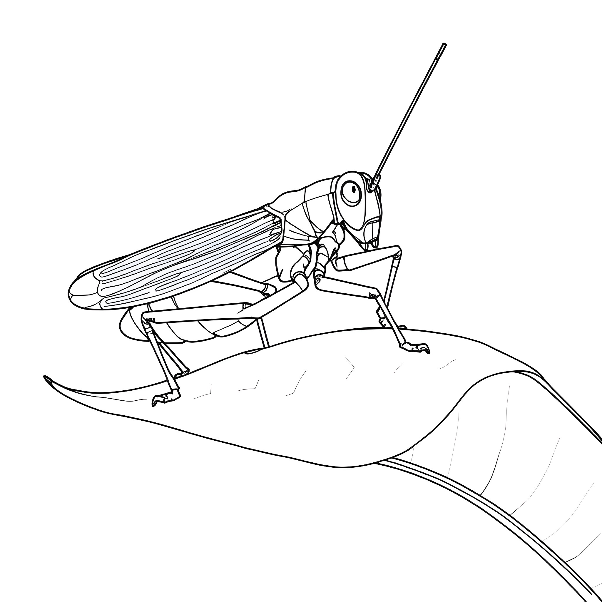 Grasshopper exploring the landscape Coloring Page (free black-and-white line drawing printable PDF for all, from beginners to advanced learners, including children, teens, adults, and seniors)