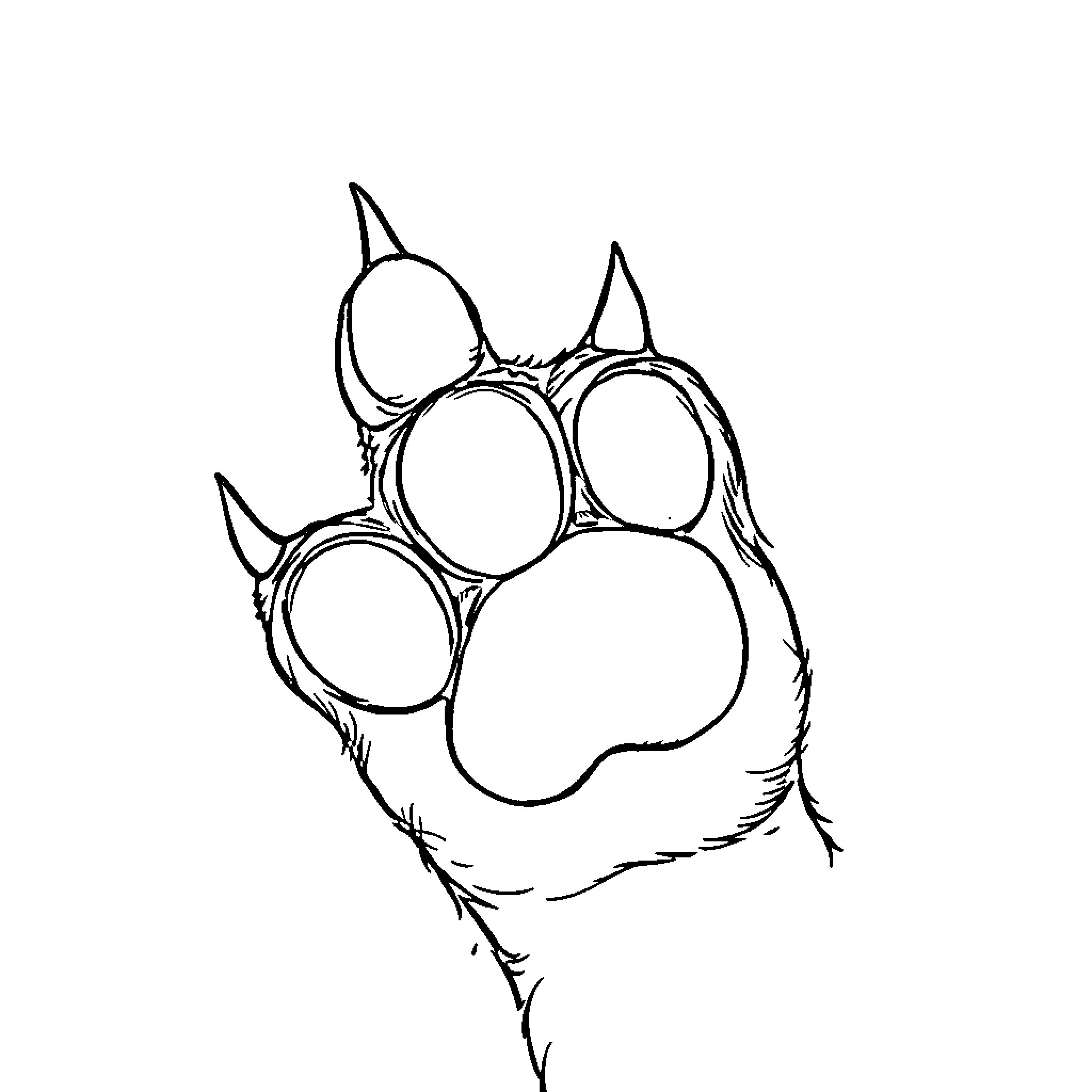 Cat's Paw Print Outline Coloring Page (free black-and-white line drawing printable PDF for all, from beginners to advanced learners, including children, teens, adults, and seniors)