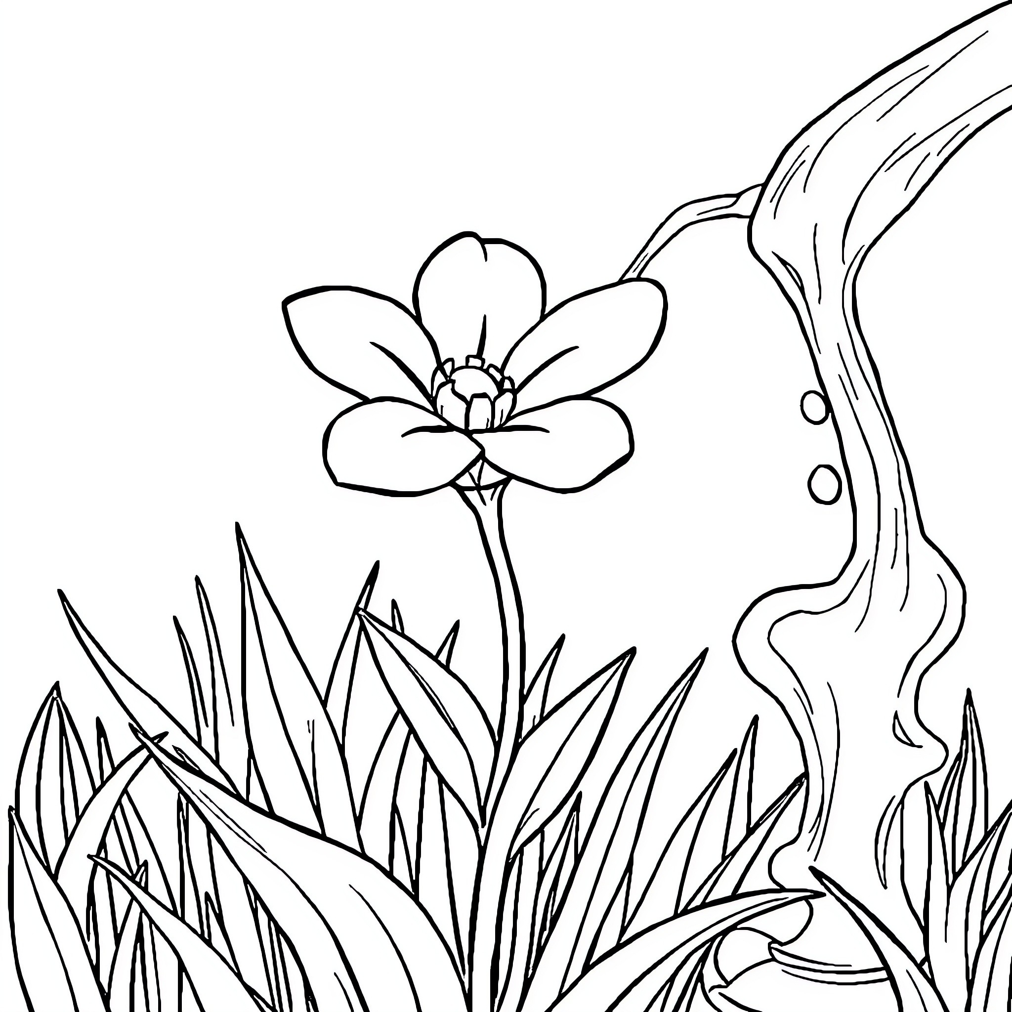 Flower blooming in natural setting Coloring Page (free black-and-white line drawing printable PDF for all, from beginners to advanced learners, including children, teens, adults, and seniors)