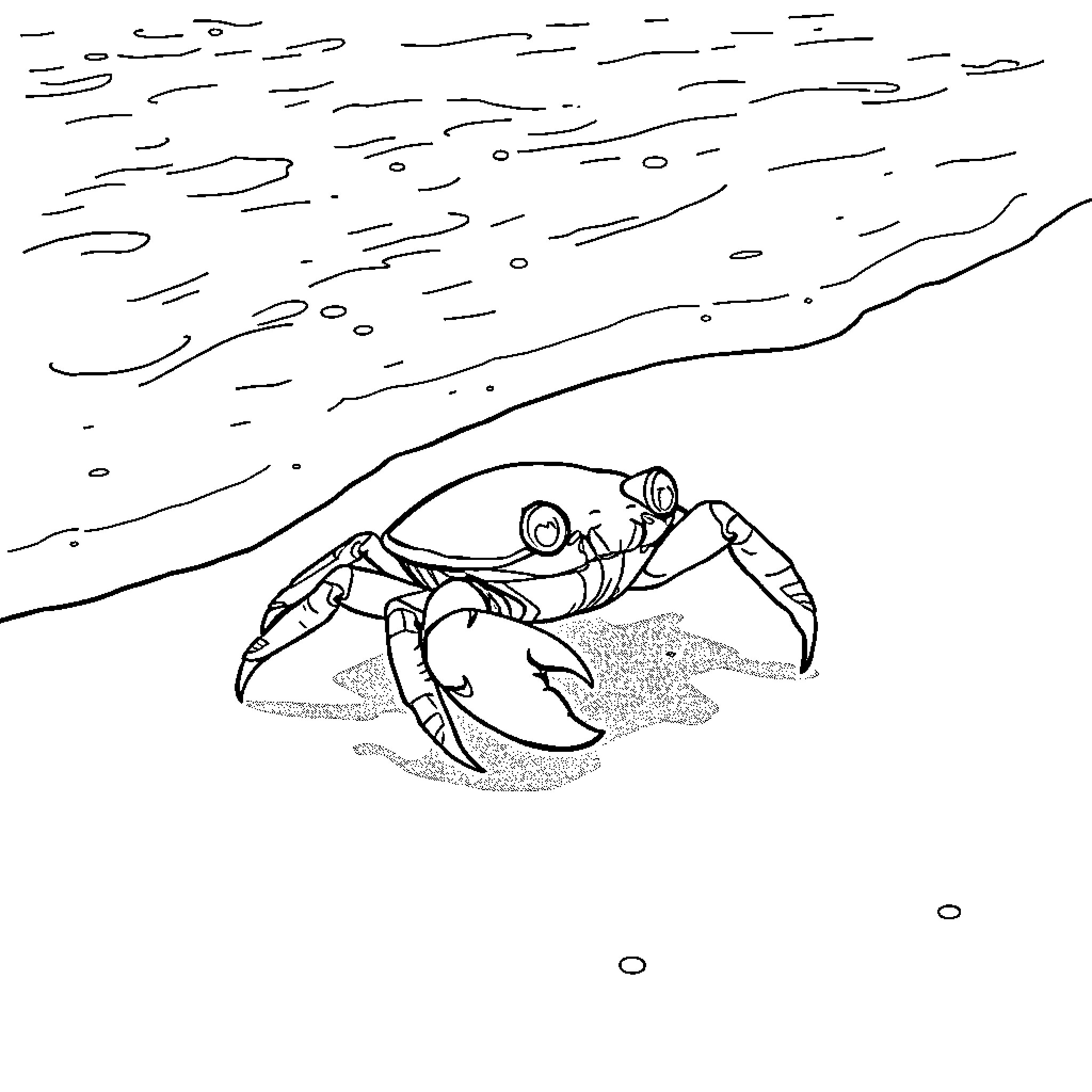 Crab exploring the shore Coloring Page (free black-and-white line drawing printable PDF for all, from beginners to advanced learners, including children, teens, adults, and seniors)
