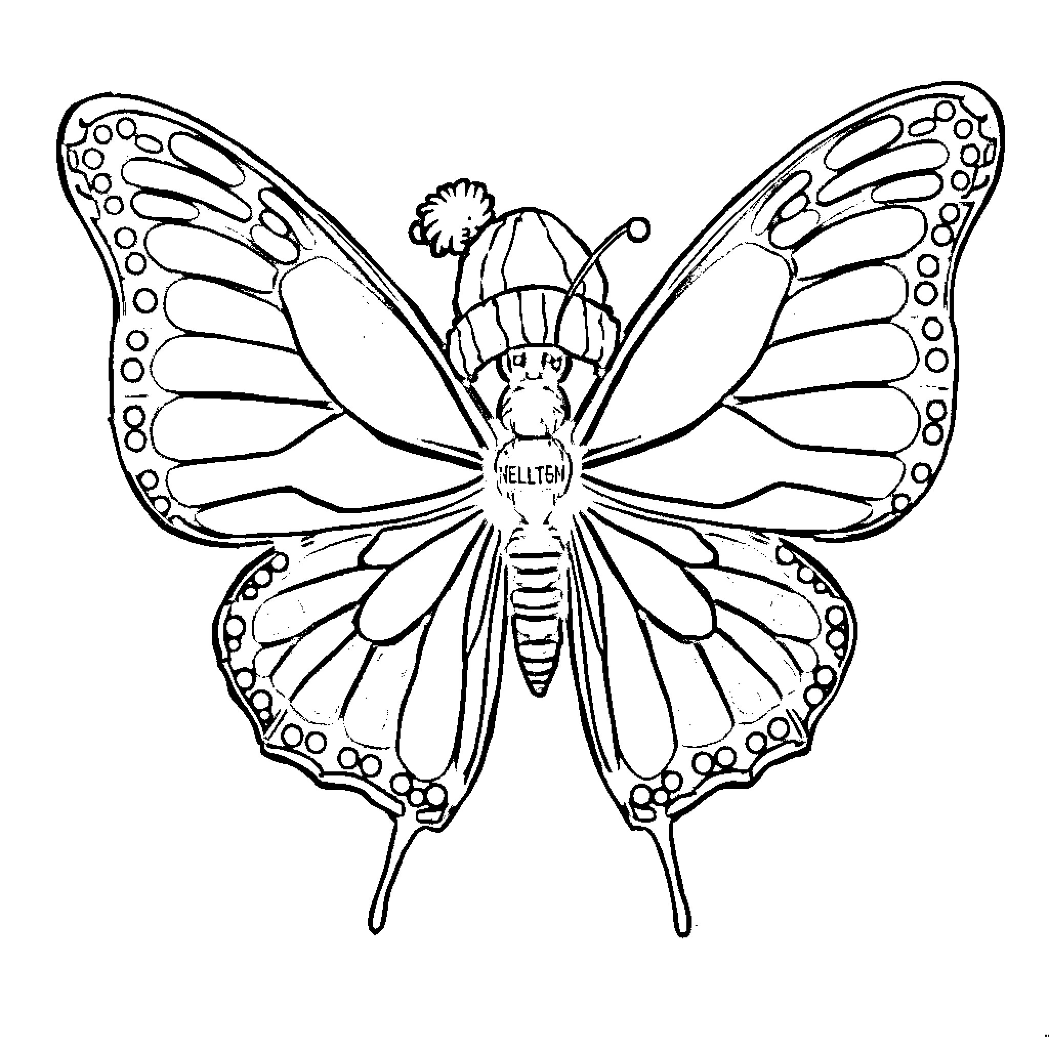 Butterfly with whimsical character in winter attire Coloring Page (free black-and-white line drawing printable PDF for all, from beginners to advanced learners, including children, teens, adults, and seniors)