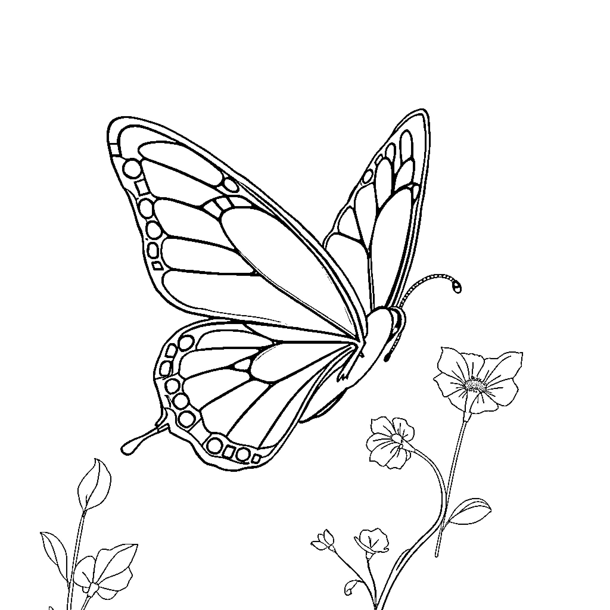 Butterfly fluttering near flowers Coloring Page (free black-and-white line drawing printable PDF for all, from beginners to advanced learners, including children, teens, adults, and seniors)