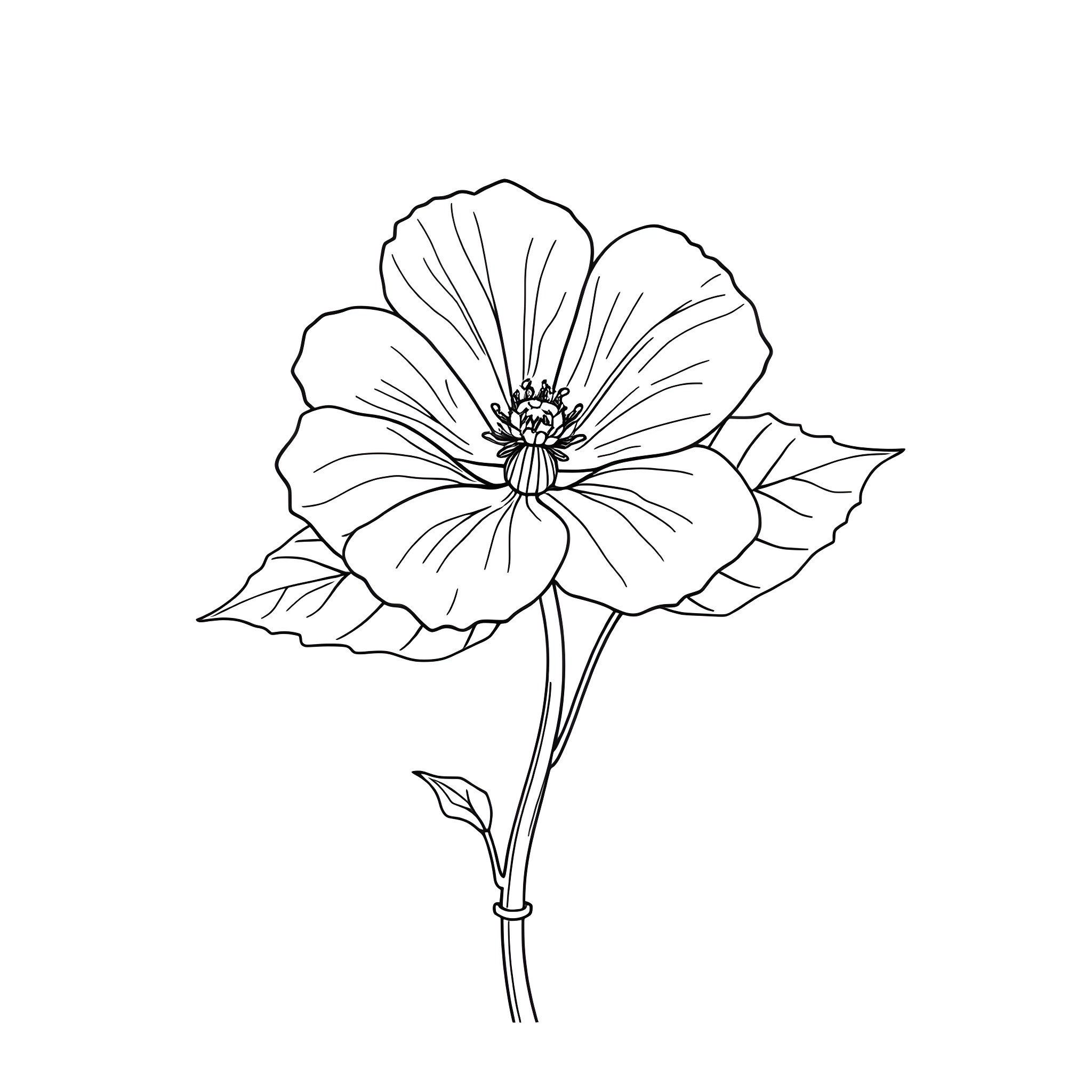 Ipomoea Purpurea bloom with detailed petals Coloring Page (free black-and-white line drawing printable PDF for all, from beginners to advanced learners, including children, teens, adults, and seniors)