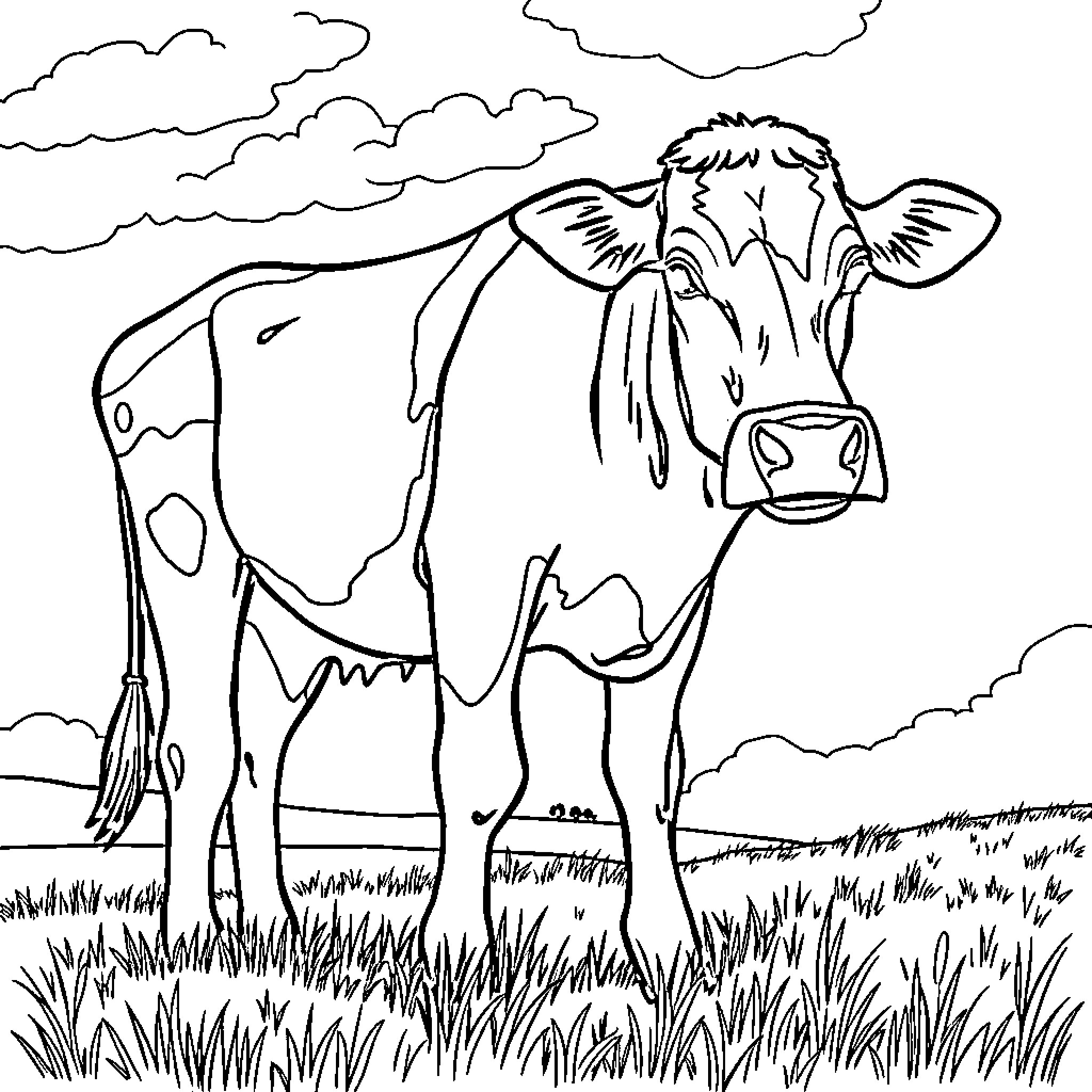 Cow standing in a grassy field under cloudy skies Coloring Page (free black-and-white line drawing printable PDF for all, from beginners to advanced learners, including children, teens, adults, and seniors)