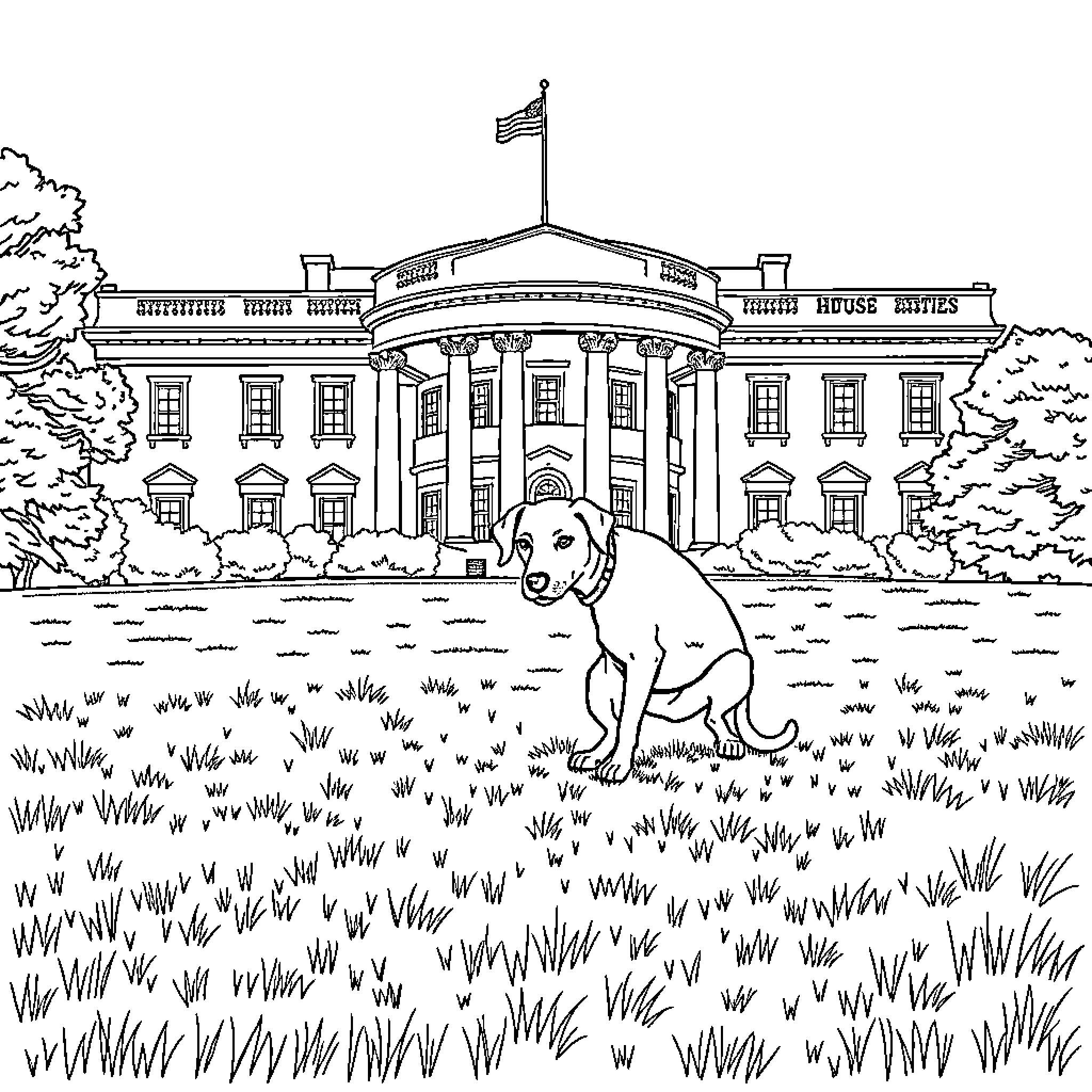 Dog playing on the White House lawn Coloring Page (free black-and-white line drawing printable PDF for all, from beginners to advanced learners, including children, teens, adults, and seniors)