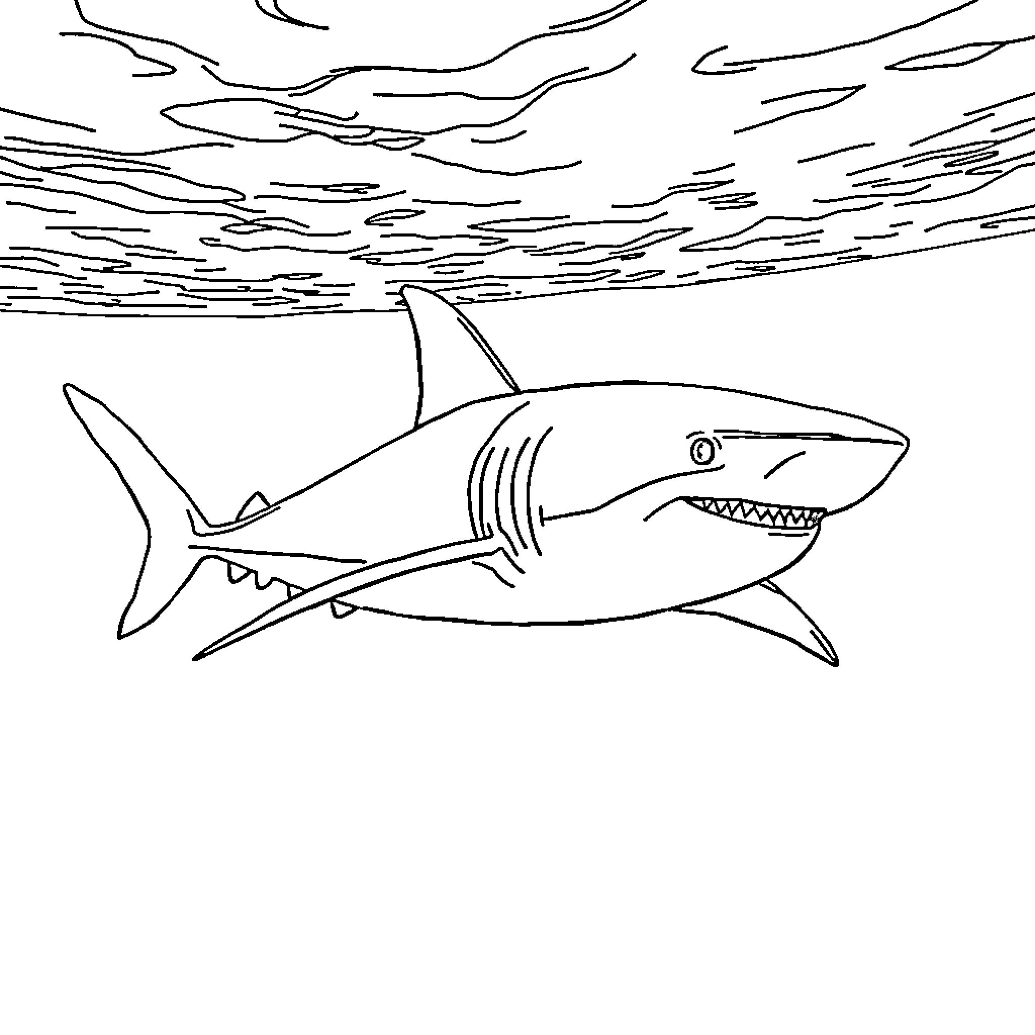 Great White Shark swimming in the open ocean Coloring Page (free black-and-white line drawing printable PDF for all, from beginners to advanced learners, including children, teens, adults, and seniors)