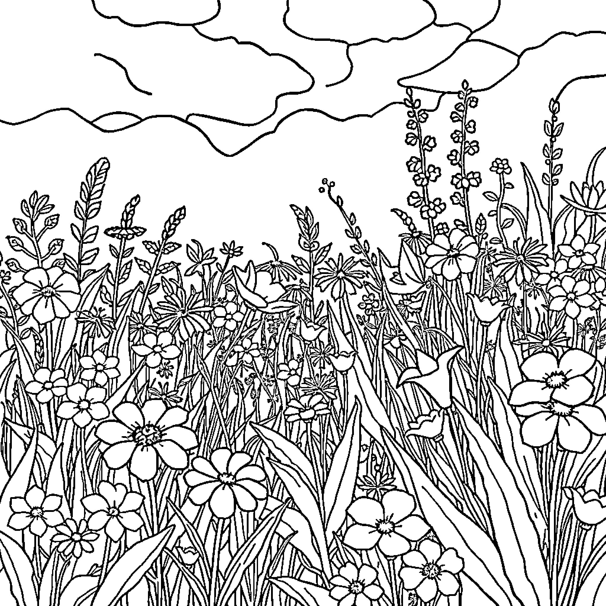 Plant blooming in vibrant floral meadow Coloring Page (free black-and-white line drawing printable PDF for all, from beginners to advanced learners, including children, teens, adults, and seniors)