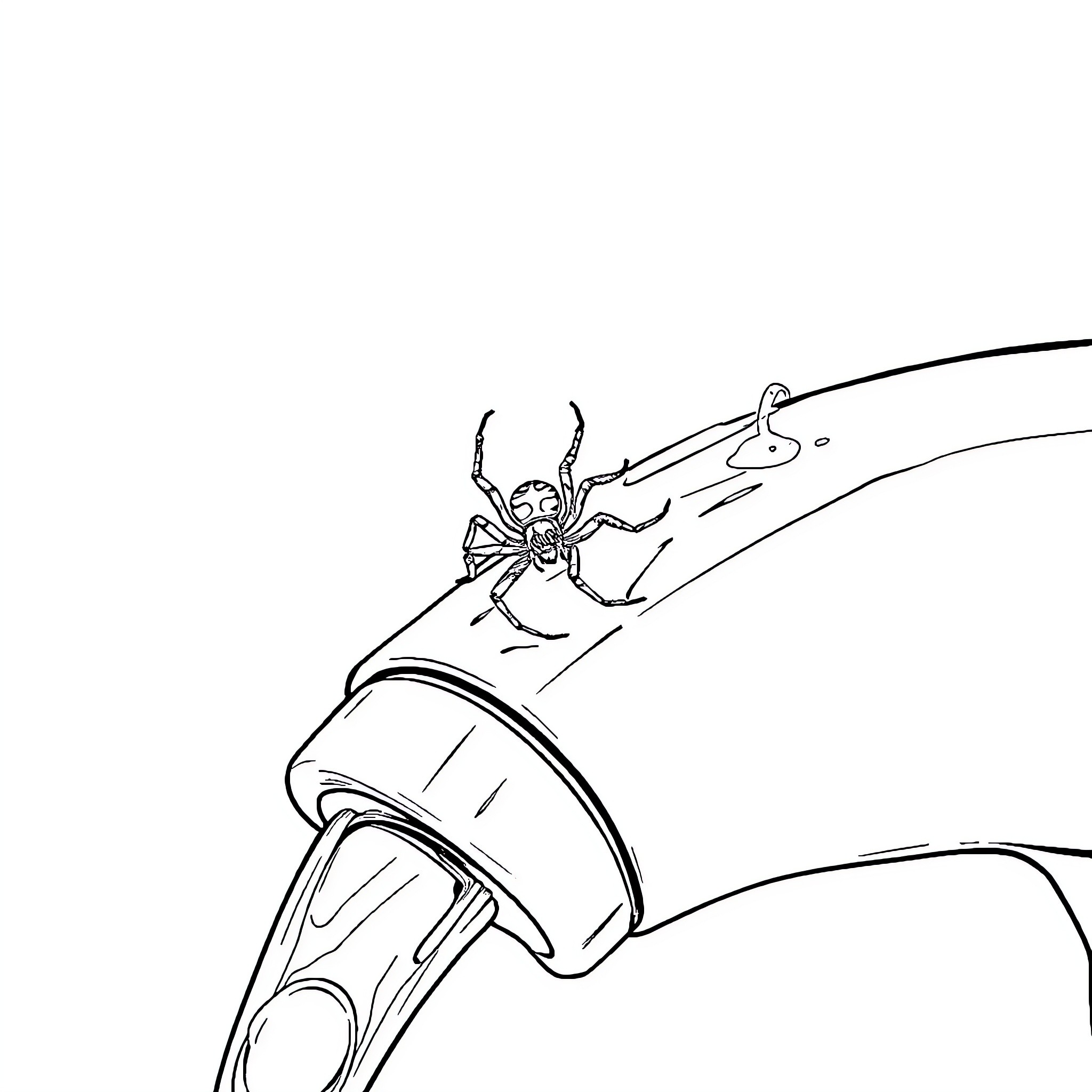 Spider scaling unusual terrain Coloring Page (free black-and-white line drawing printable PDF for all, from beginners to advanced learners, including children, teens, adults, and seniors)