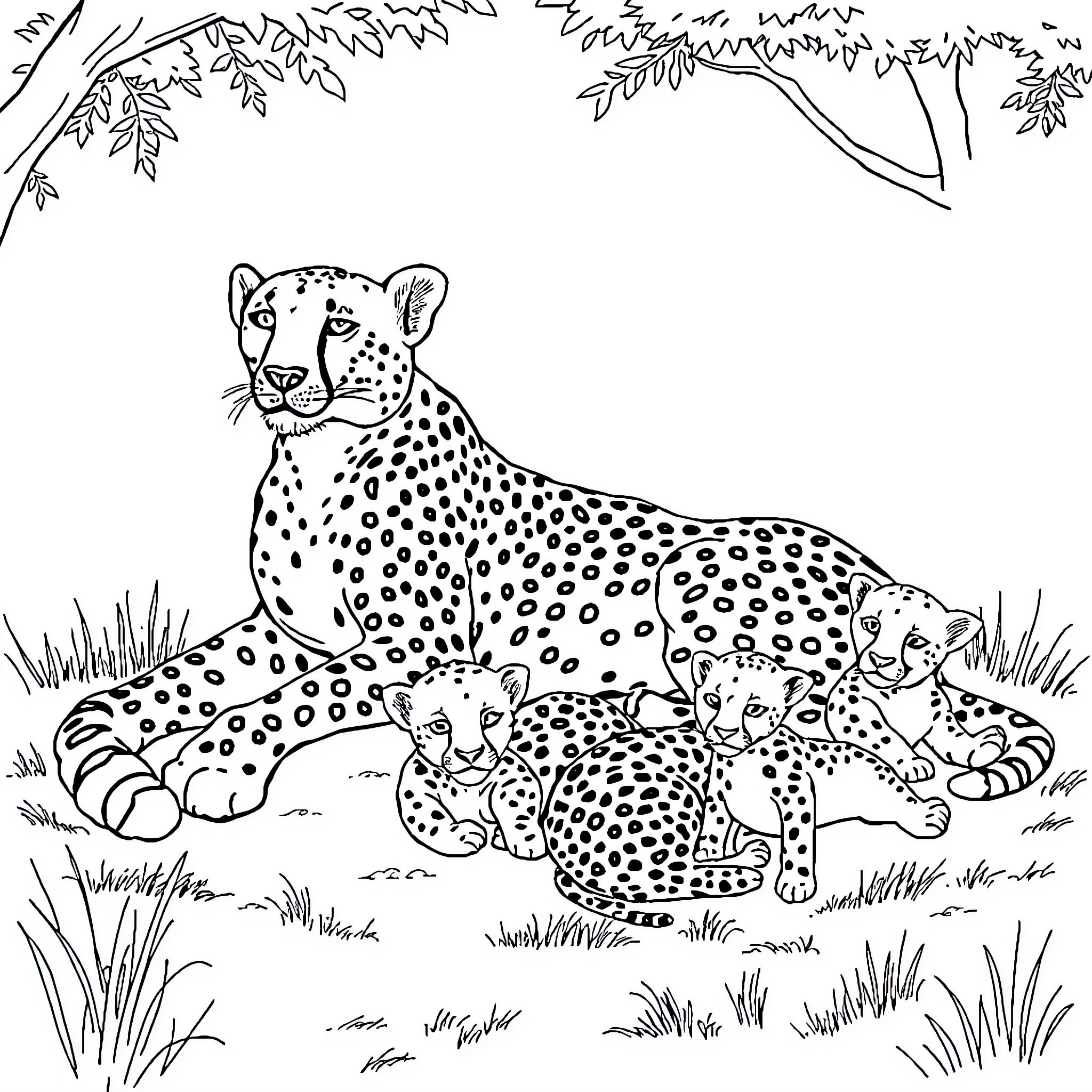 Cheetah family resting in the wild Coloring Page (free black-and-white line drawing printable PDF for all, from beginners to advanced learners, including children, teens, adults, and seniors)