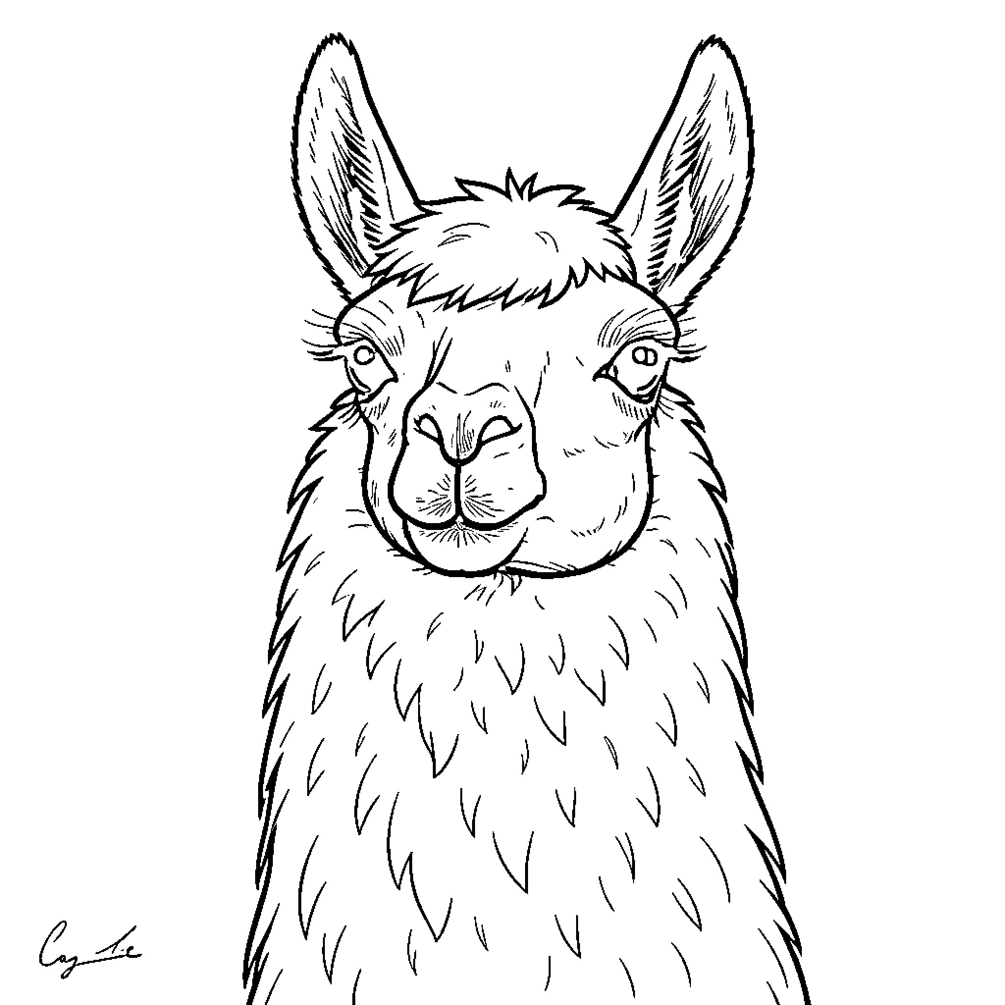 Llama with curious expression Coloring Page (free black-and-white line drawing printable PDF for all, from beginners to advanced learners, including children, teens, adults, and seniors)