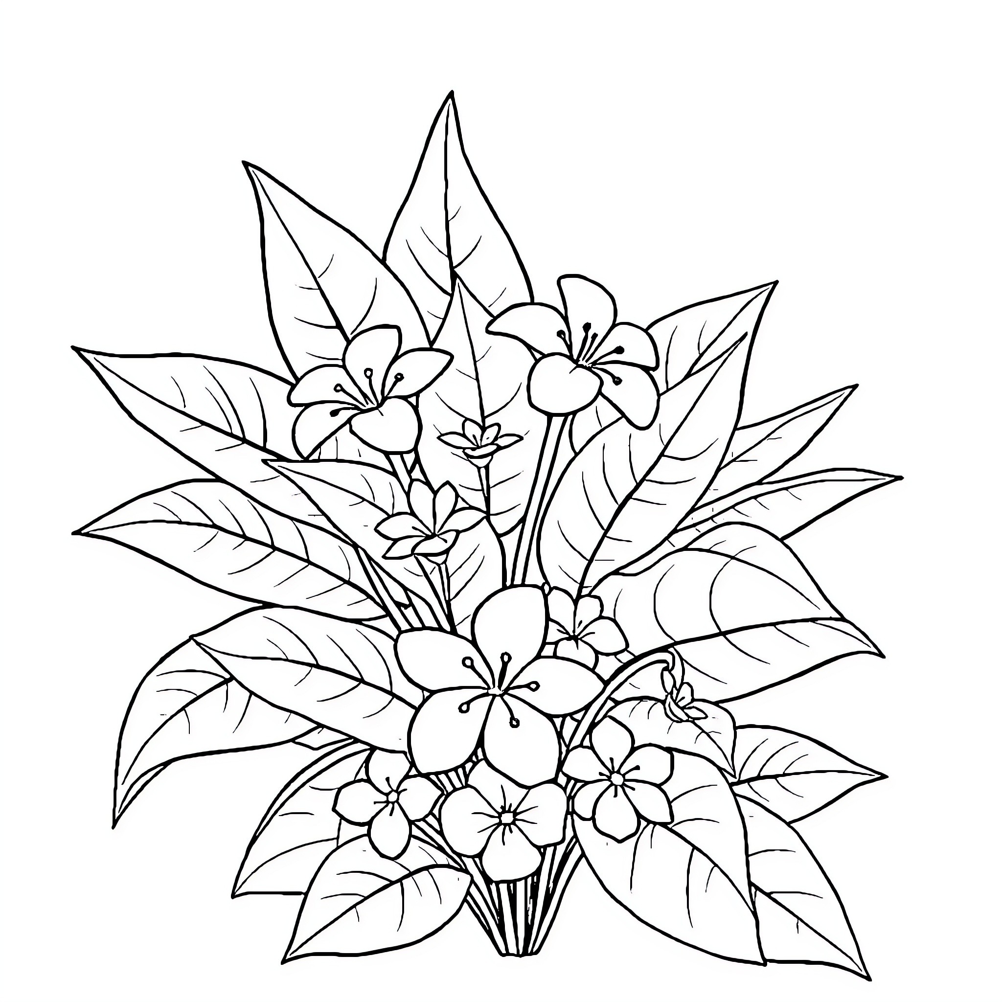Vaïna's Floral Bouquet Coloring Page (free black-and-white line drawing printable PDF for all, from beginners to advanced learners, including children, teens, adults, and seniors)