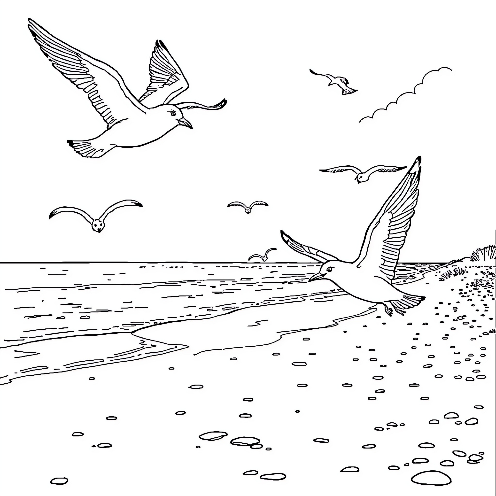 Seagulls soaring gracefully over coastal landscape Coloring Page (free black-and-white line drawing printable PDF for all, from beginners to advanced learners, including children, teens, adults, and seniors)