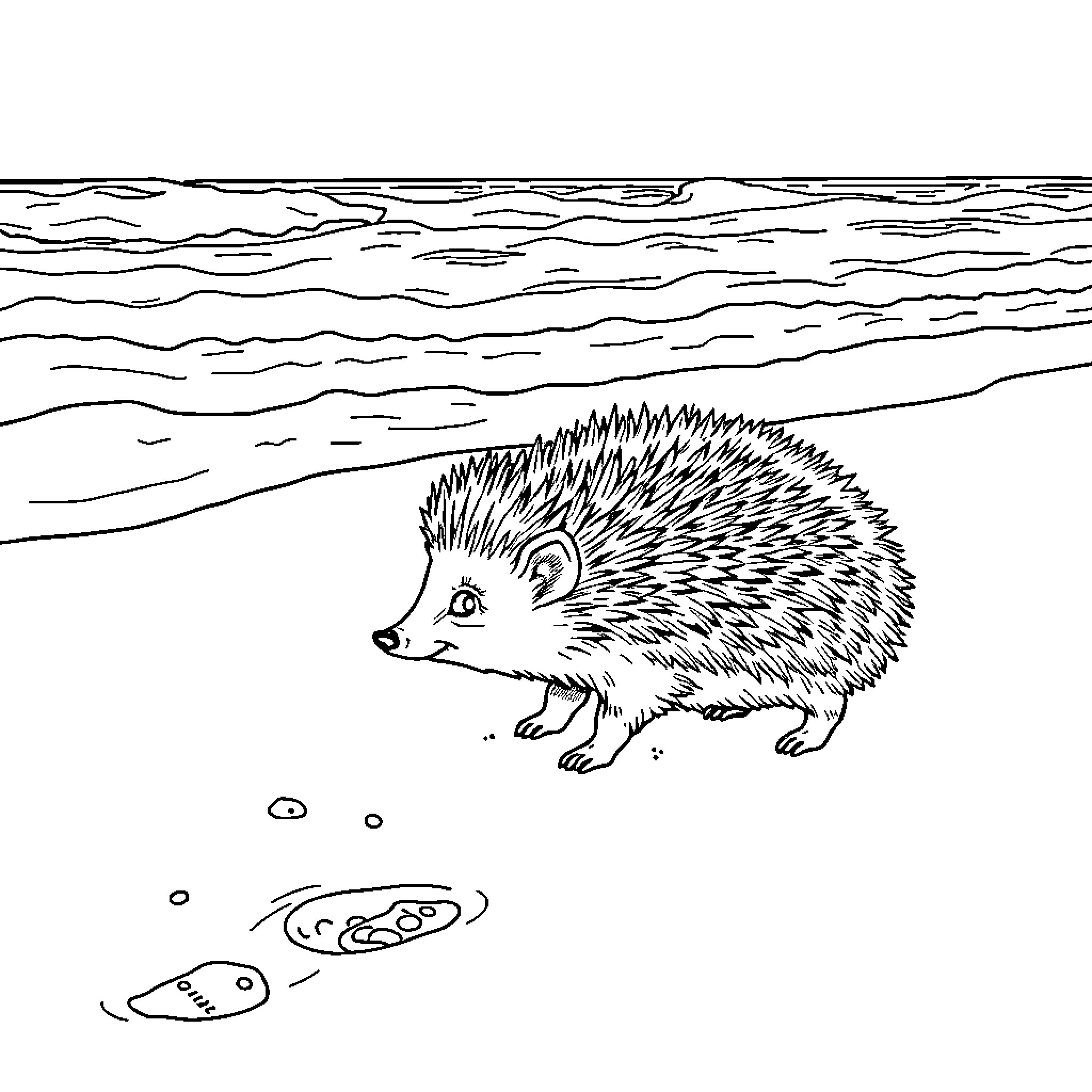 Hedgehog exploring the wilderness Coloring Page (free black-and-white line drawing printable PDF for all, from beginners to advanced learners, including children, teens, adults, and seniors)