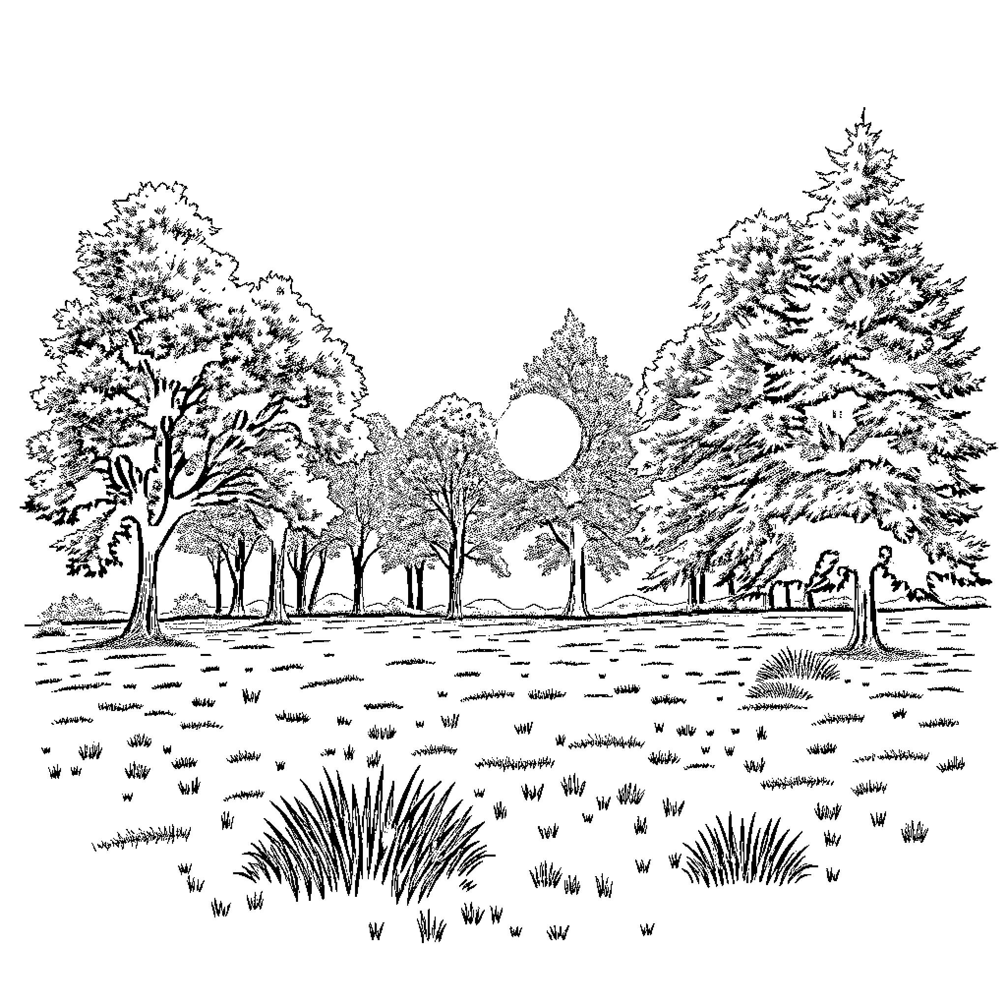 Peace in the Snowy Winter Wonderland Coloring Page (free black-and-white line drawing printable PDF for all, from beginners to advanced learners, including children, teens, adults, and seniors)