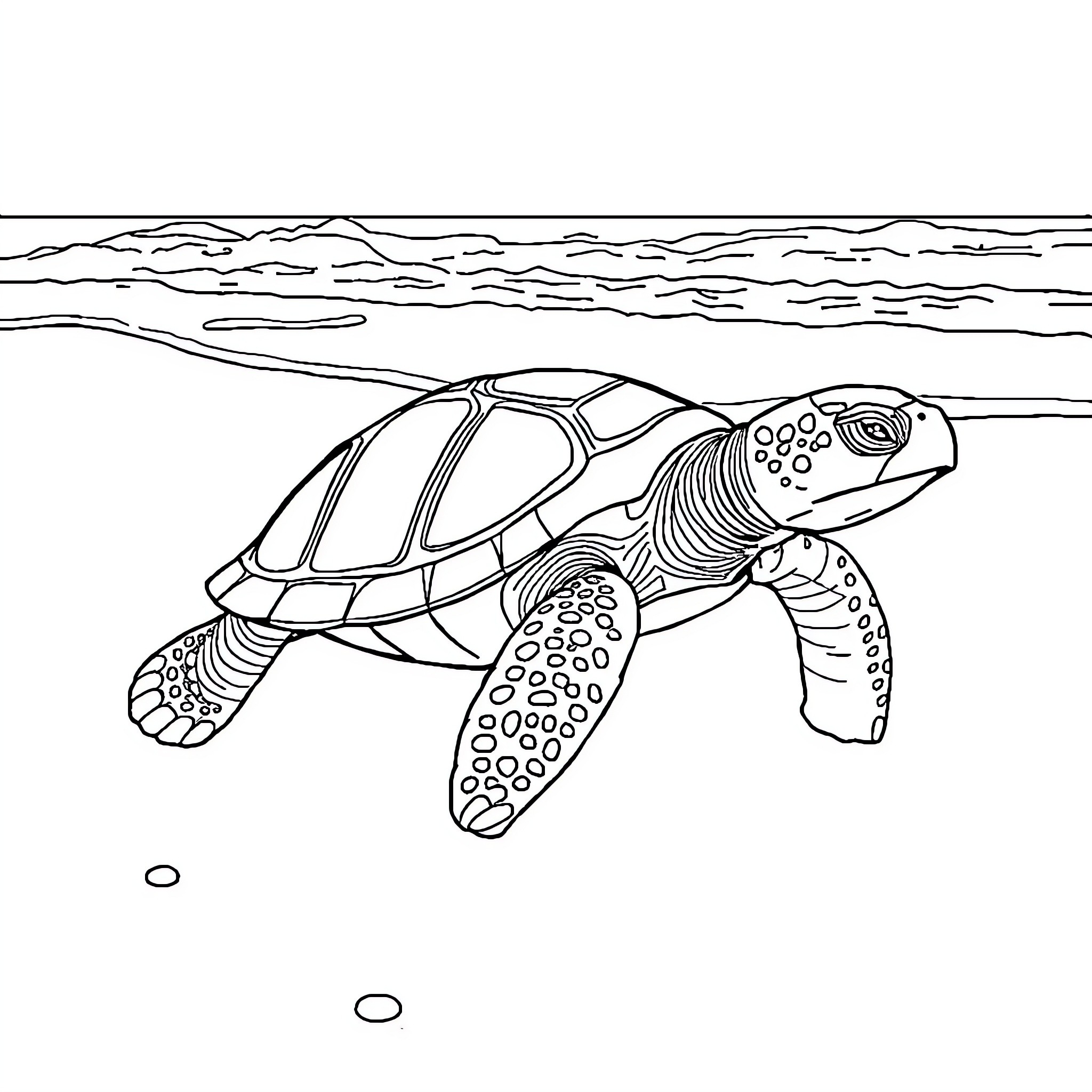 Turtle swimming peacefully in the ocean Coloring Page (free black-and-white line drawing printable PDF for all, from beginners to advanced learners, including children, teens, adults, and seniors)